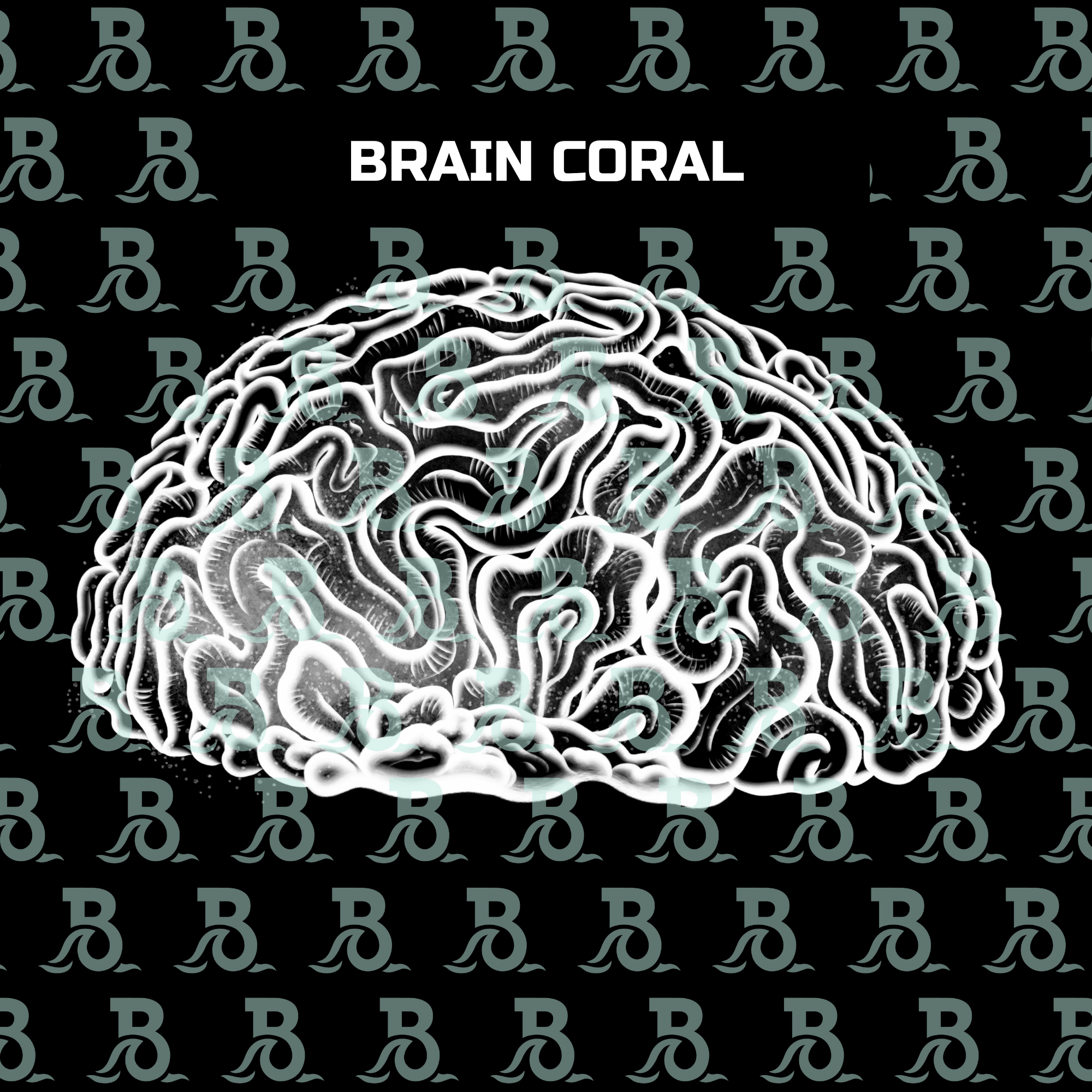 BRAIN CORAL.png
