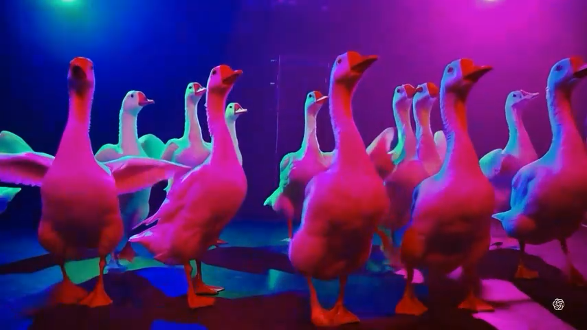 dance-fallback.png