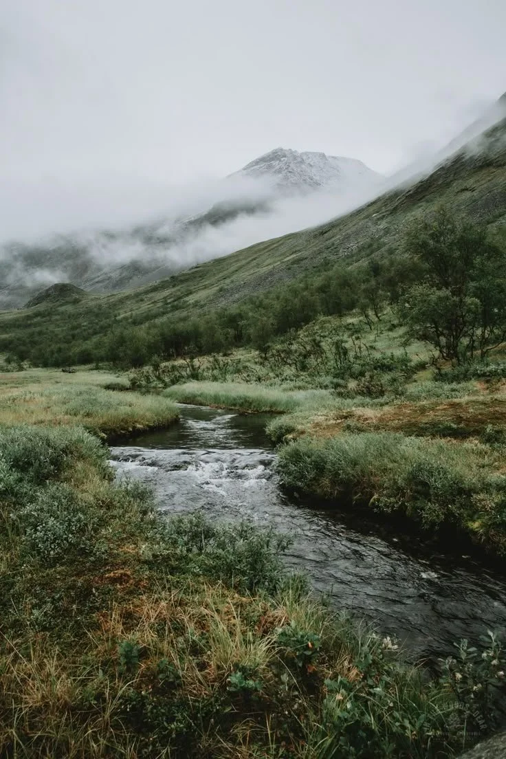 Backpacking in Swedish Lapland_ Vistas Valley.jpg
