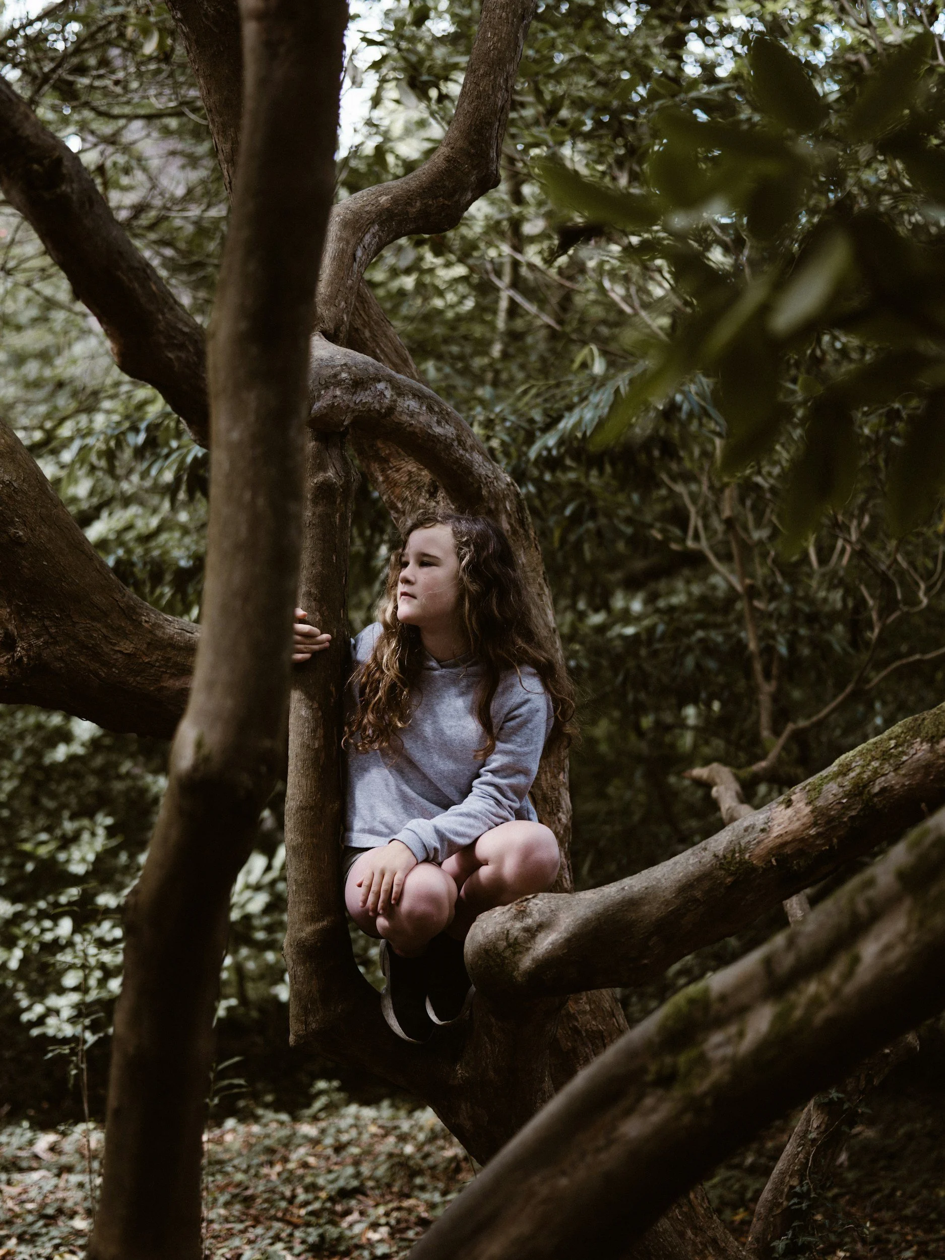 young girl in a tree
