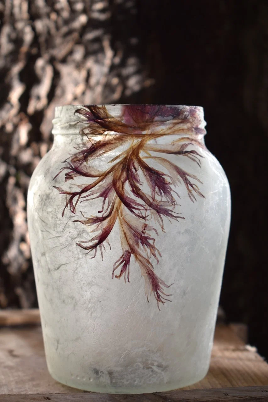 Papaver Lantern