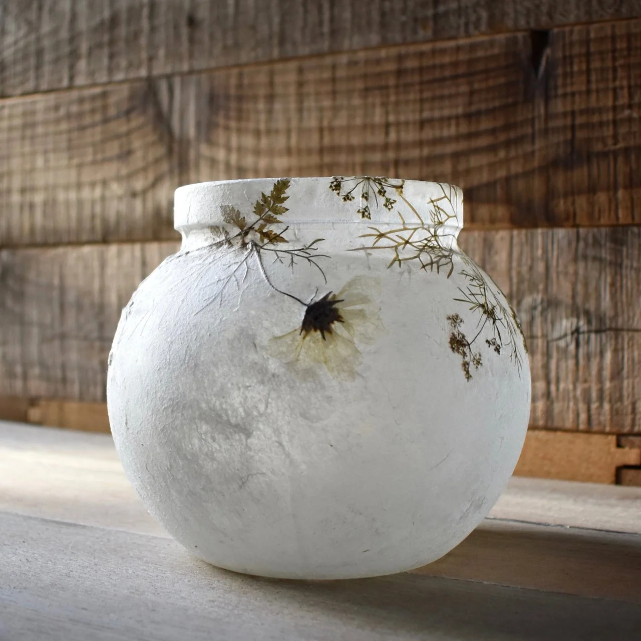 Ammi Lantern