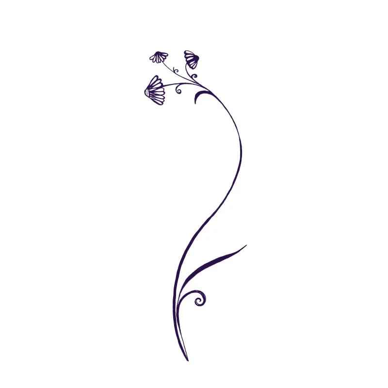 Daisy-Greetings-Card-Made-on-a-Hill.jpg