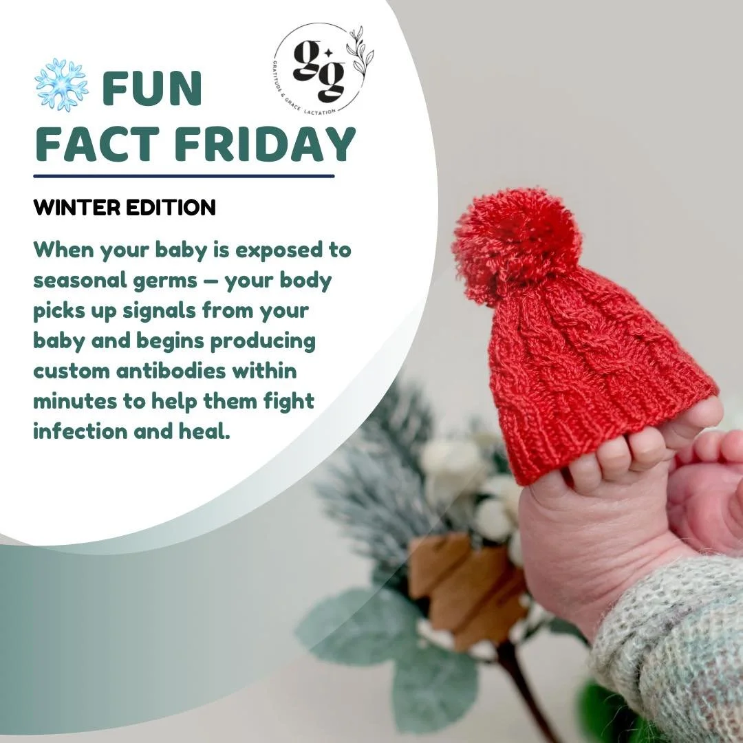 🌟 #FunFactFriday 🌟
Did you know&hellip; your breastmilk knows it&rsquo;s winter? ❄️🤍

When your baby is exposed to seasonal germs &mdash; like colds and viruses &mdash; your body doesn&rsquo;t just hope for the best. Through nursing, your body pic