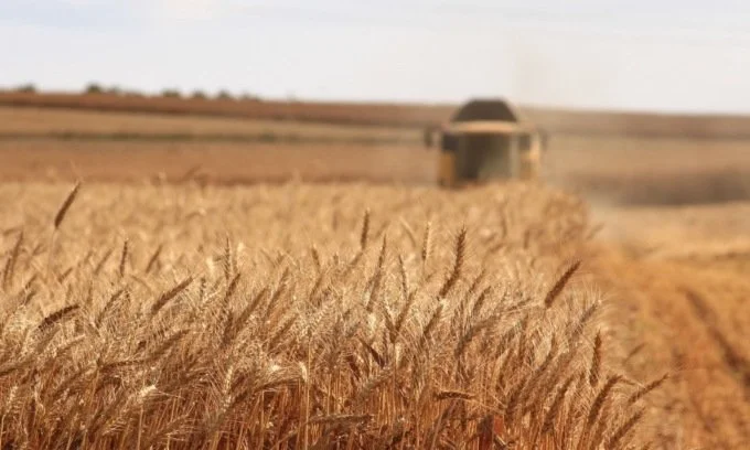 Au-delà de la loi Duplomb, débattre du droit à l’alimentation