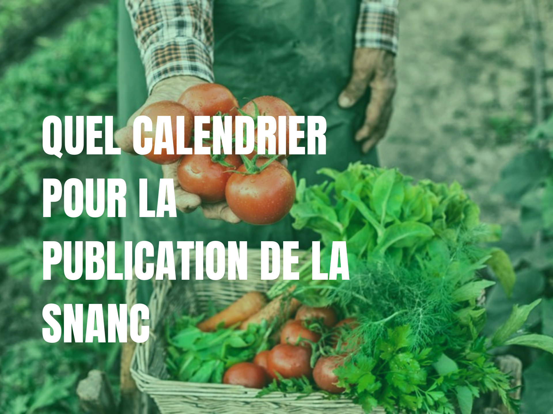 Quel calendrier pour la publication de la snanc ?