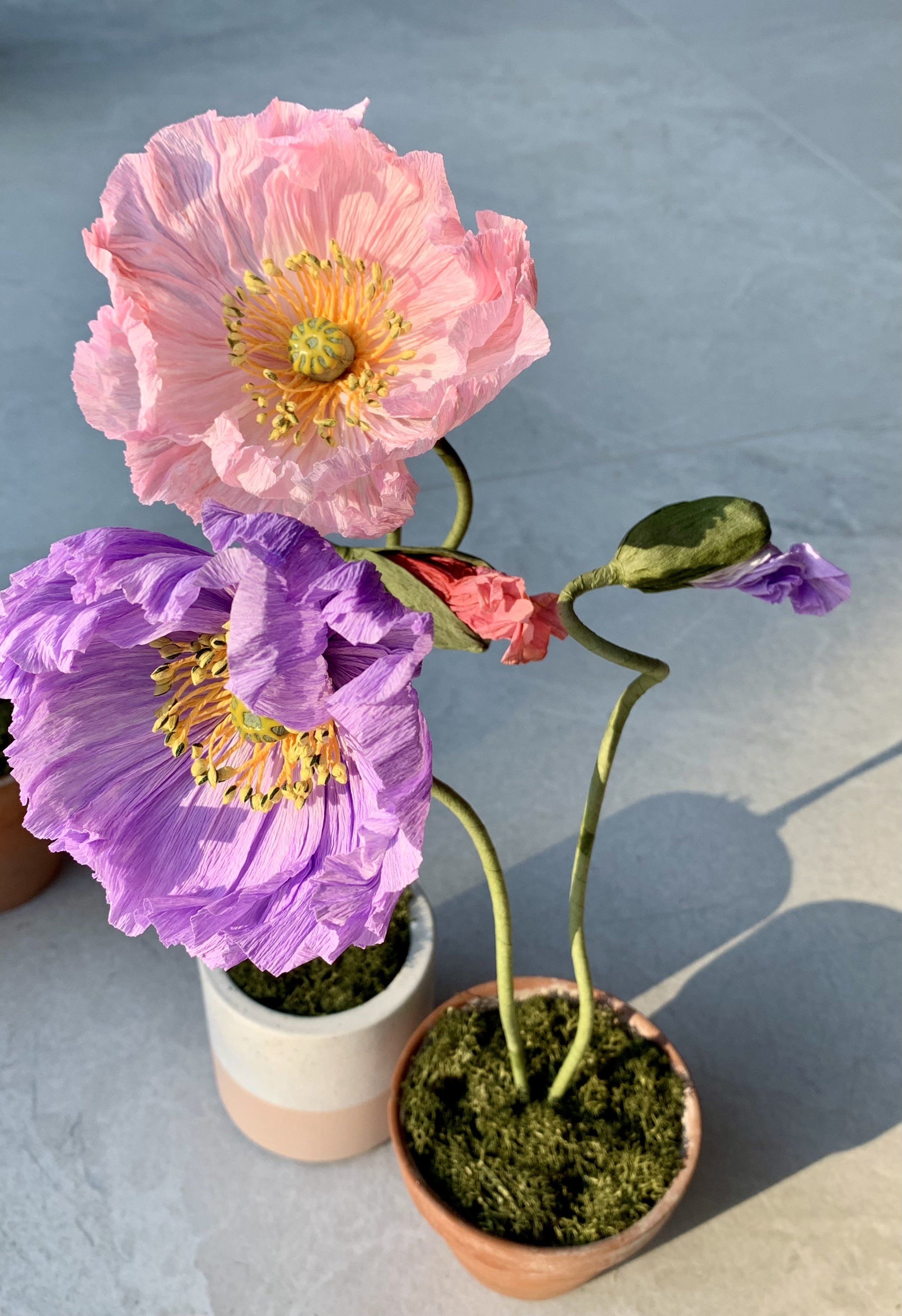FLORAGAMI_MEG LOWDER.jpg