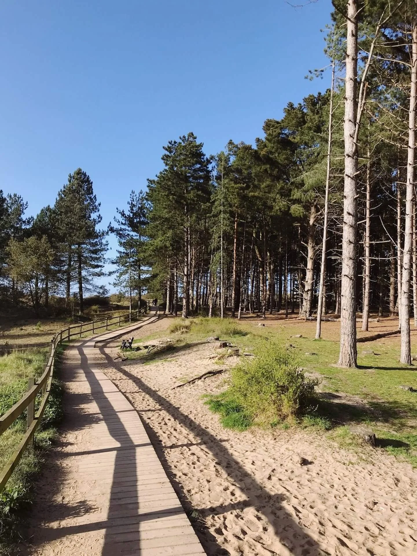 North Norfolk Beach and woodland near to the Salt and Hay property, Chancery House