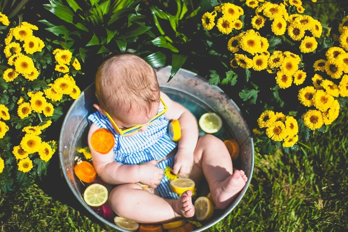 Baby in a bucket! 🍊🍋✨🌼

I wish this was how I got to spend my Sunday. What a cutie! 🥰

*If you&rsquo;re ever concerned about the posting of your photos, don&rsquo;t be! If you prefer to keep you or your family offline, I am always happy to comply