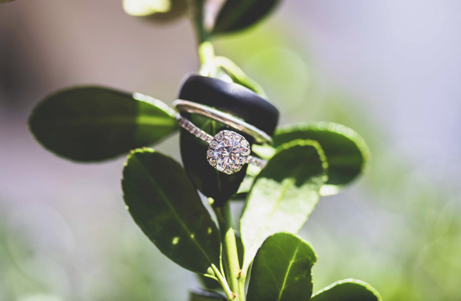 Screenshot 2025-02-11 at 1.28.35 PM.png