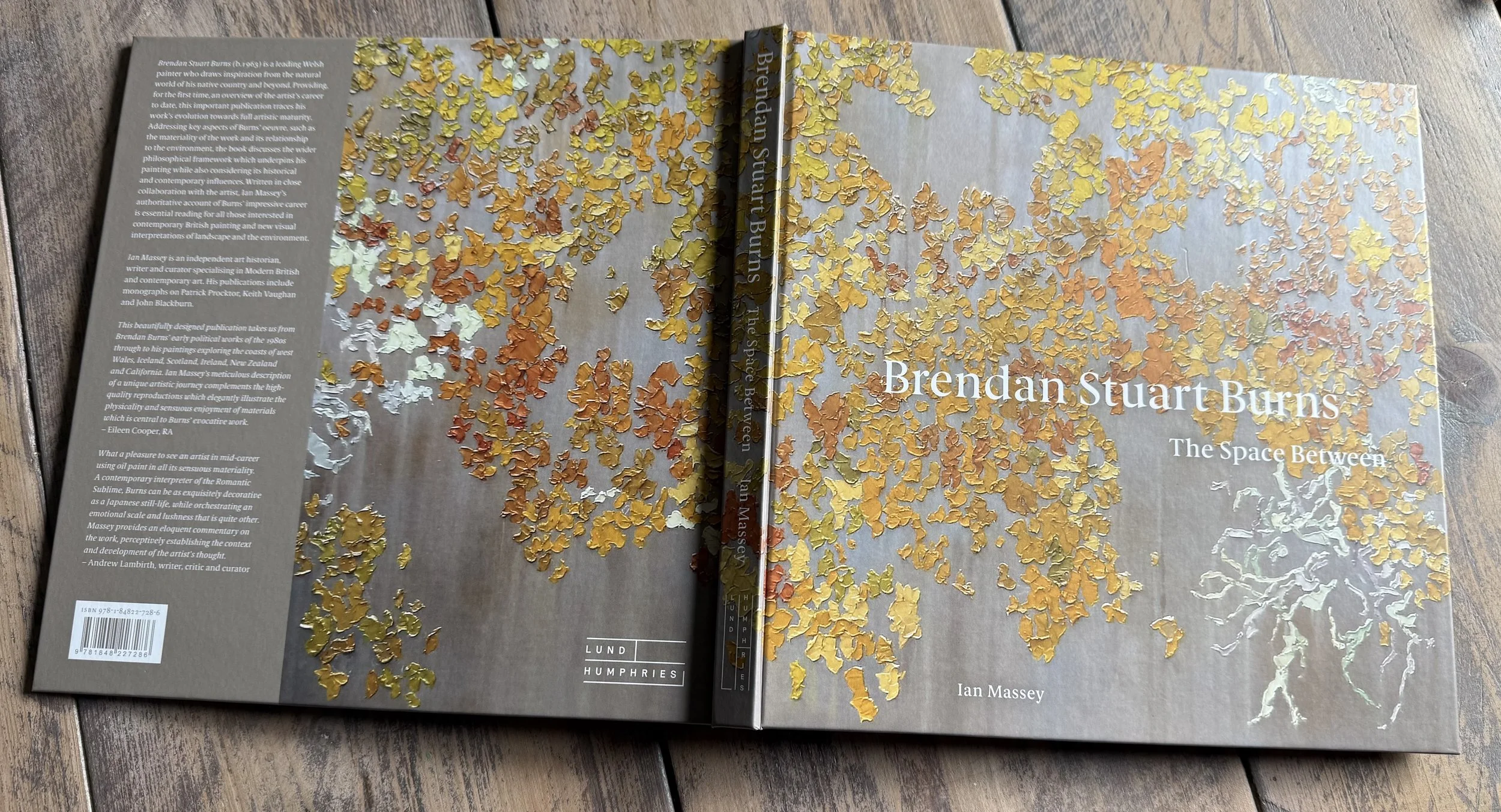 New Publication - The Space Between