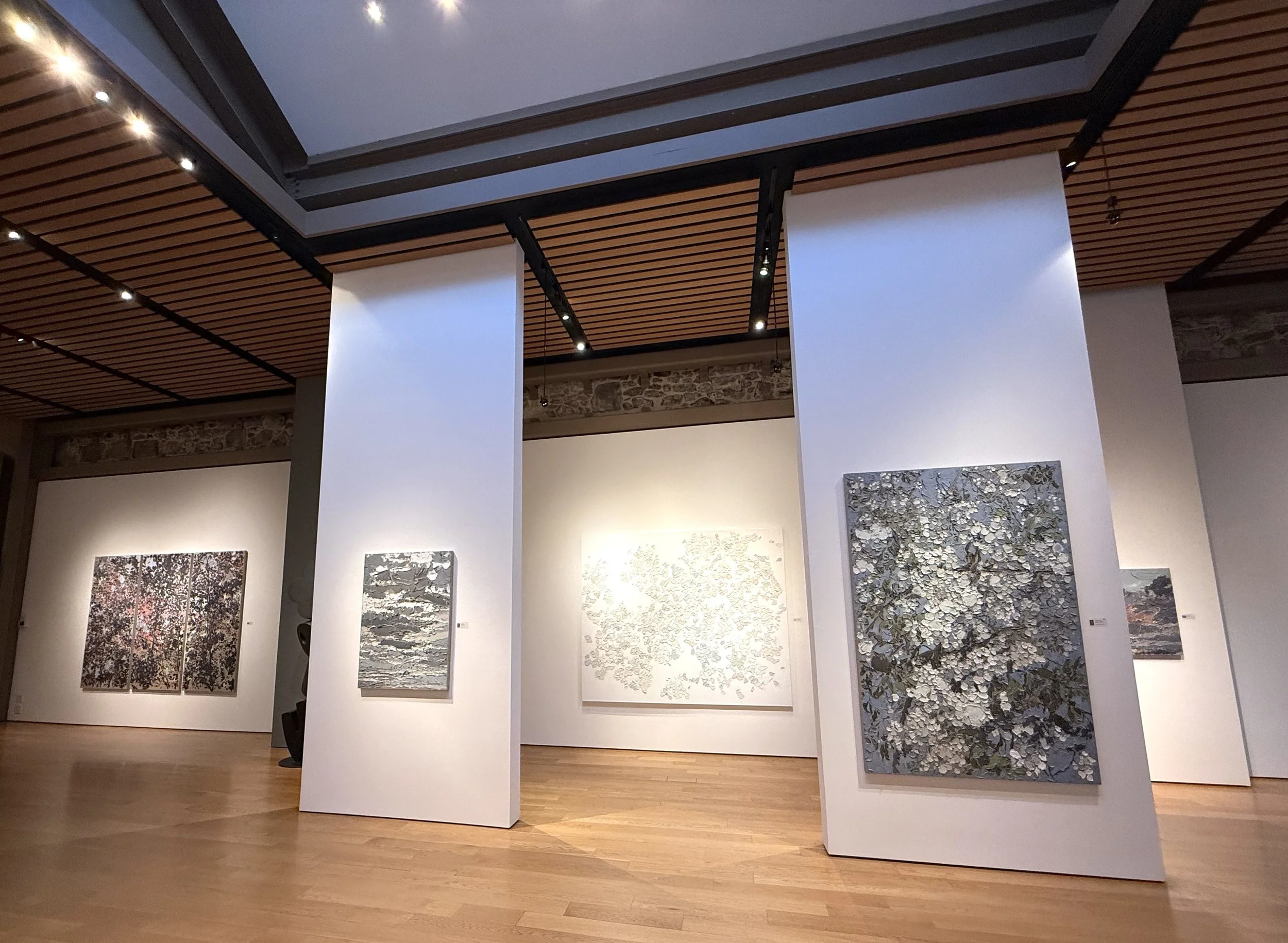 Caldwell Snyder Gallery St Helena .jpeg