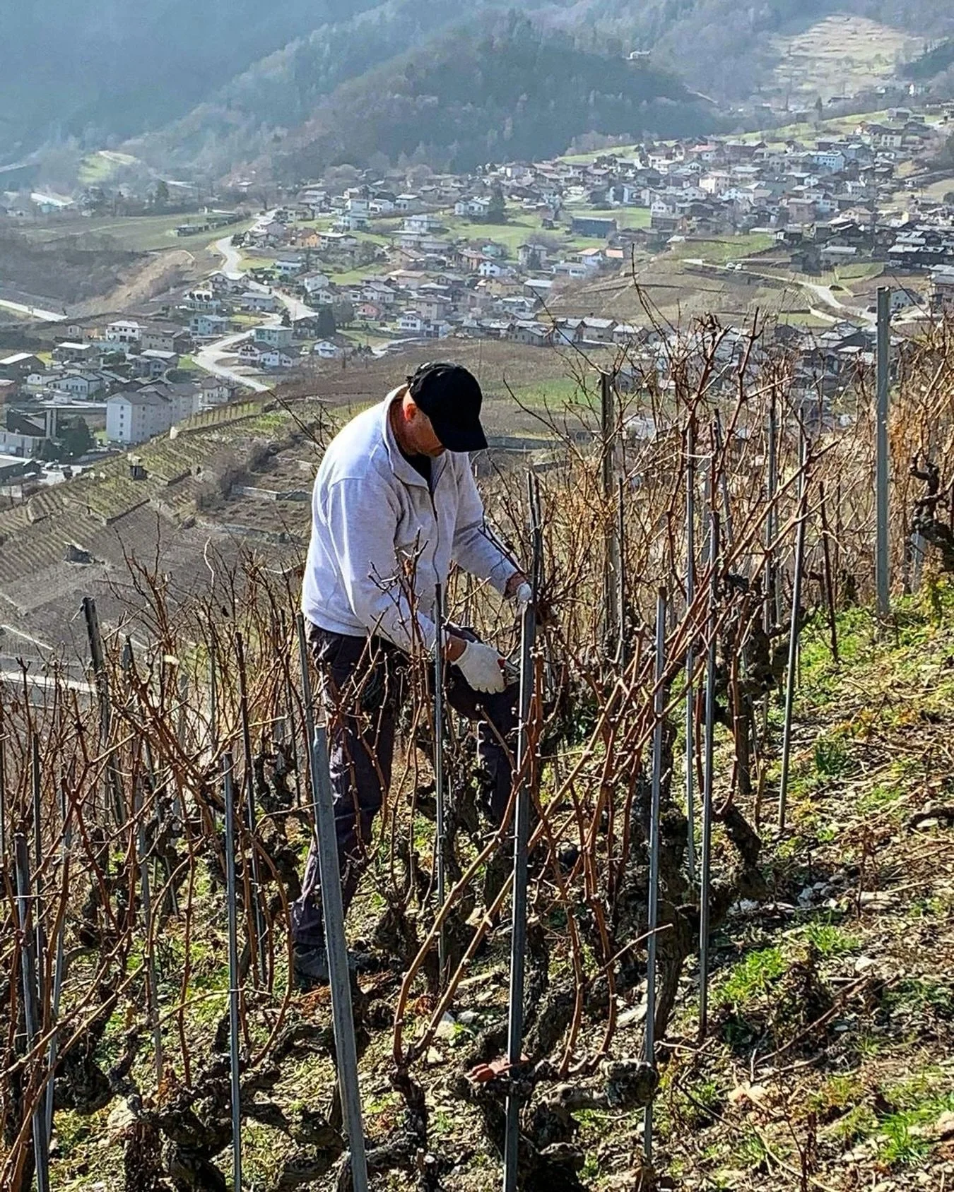 Mein Name ist Alex Kaiser mit Jahrgang 68. Durch meine Walliser Abstammung entwickelte sich eine tiefe Verbundenheit zur Region. Das Handwerk erlernte ich in jungen Jahren von meinem Grandpapa Charly und unter den fachkundigen Anweisungen meiner imme