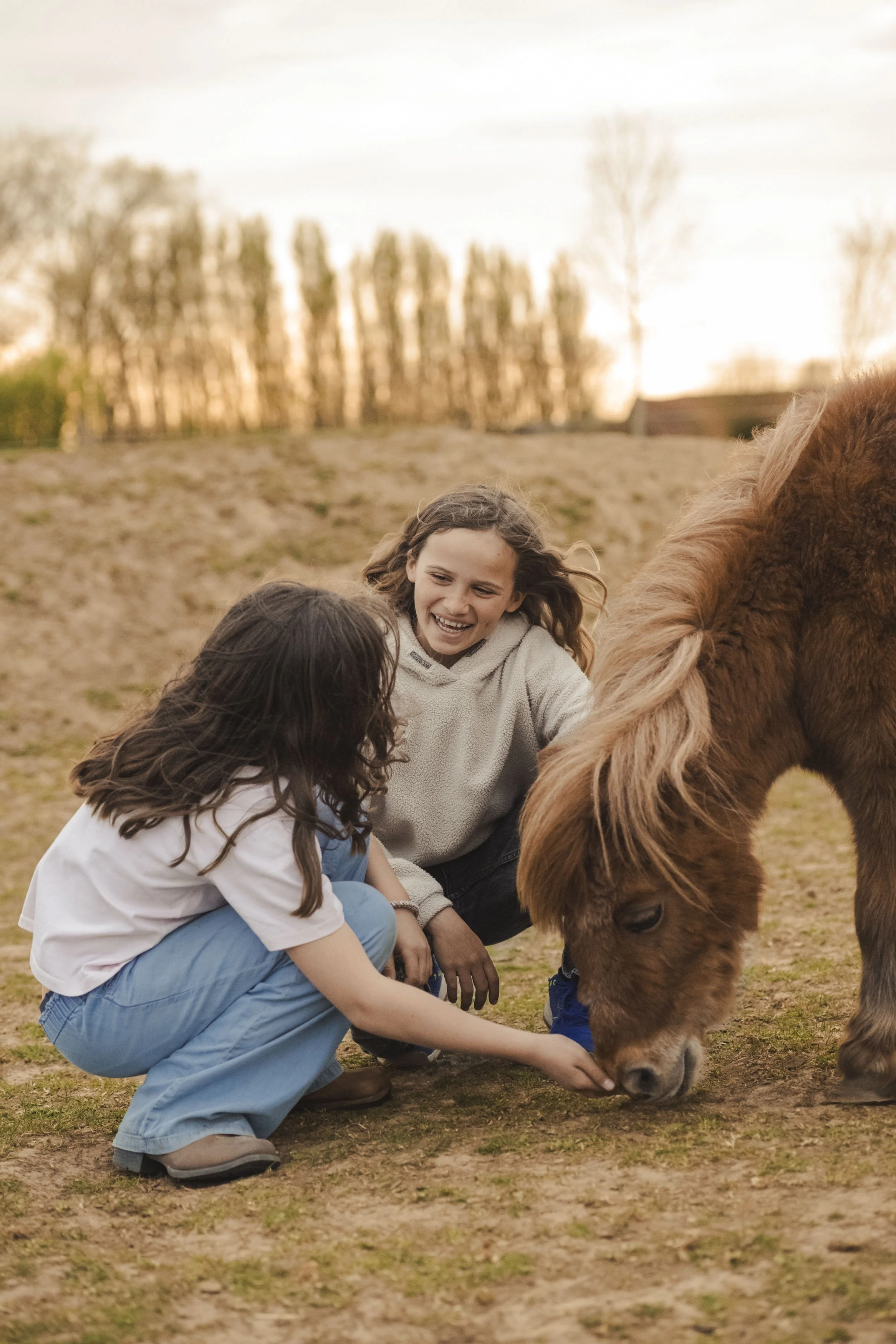 coaching met paarden