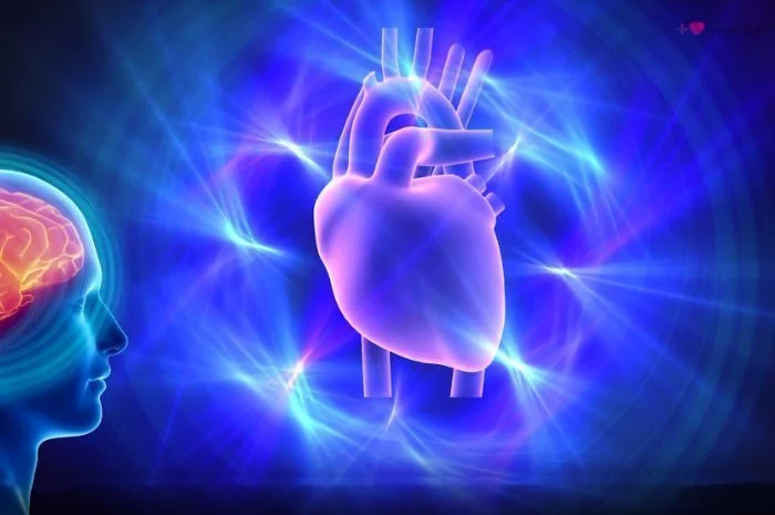 The Unseen Order Within: Understanding Coherence