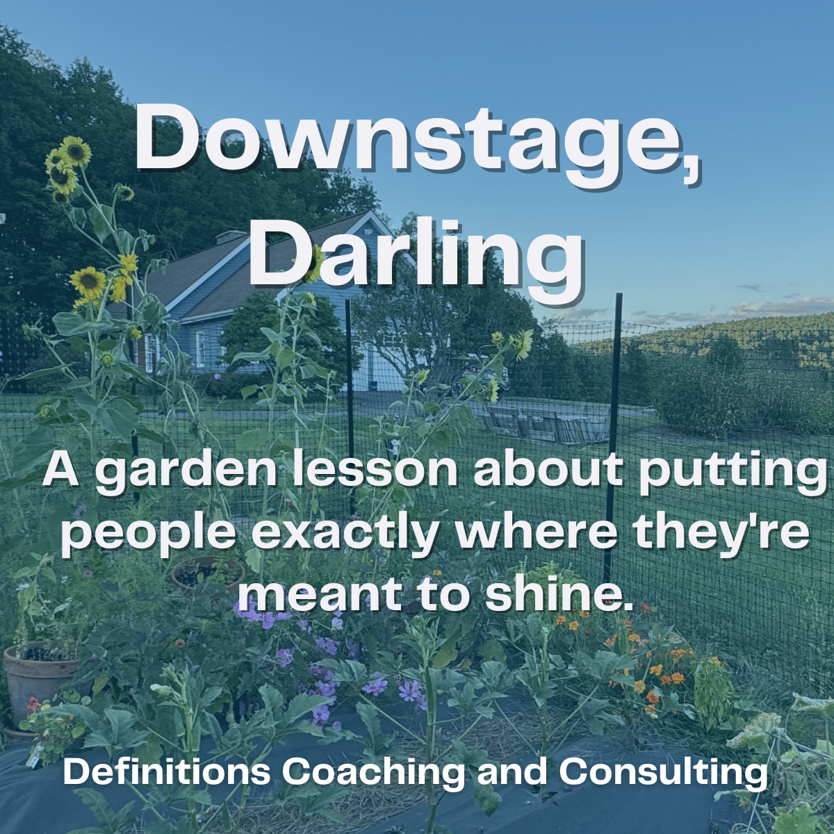 Downstage, Darling