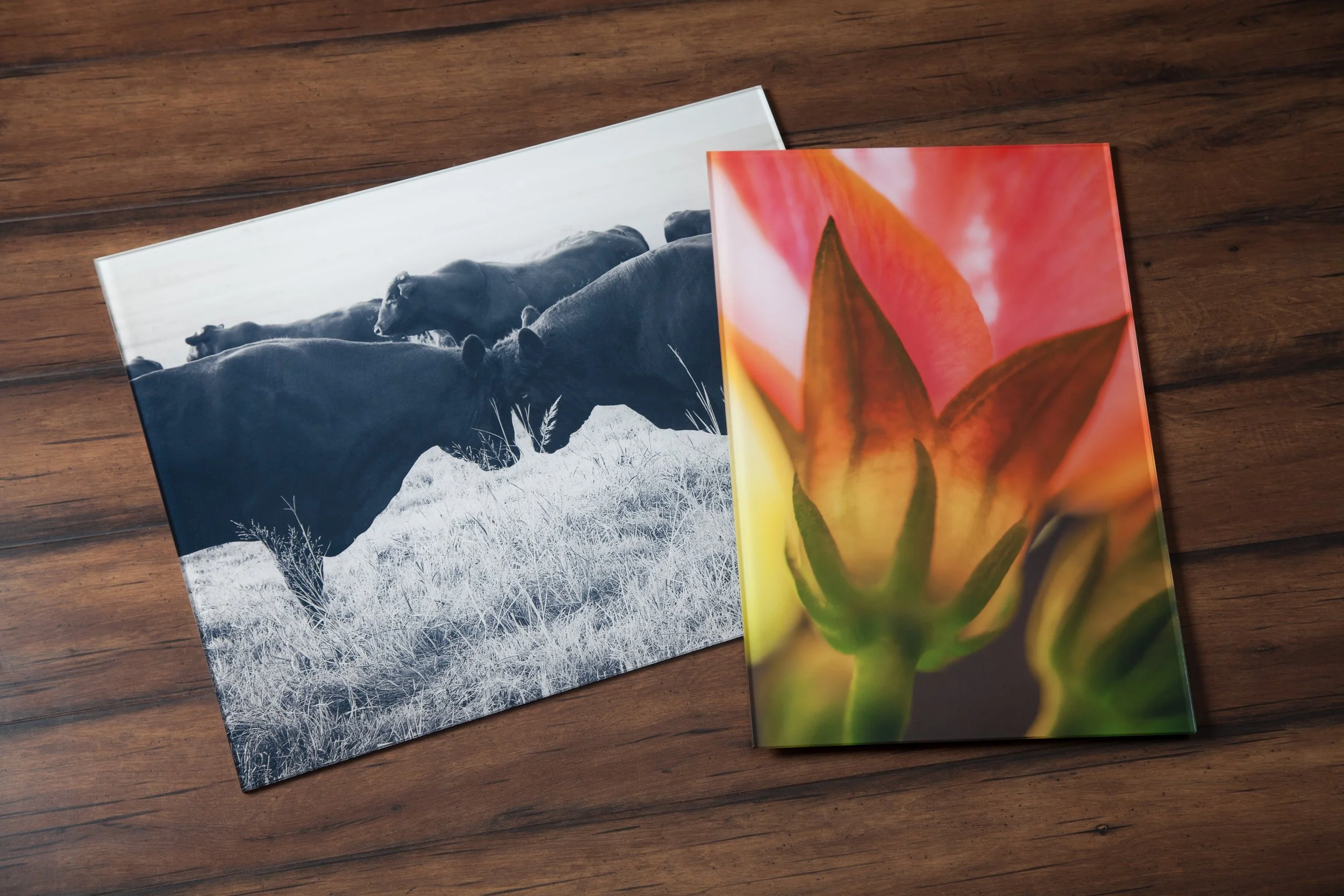 New Acrylic Prints