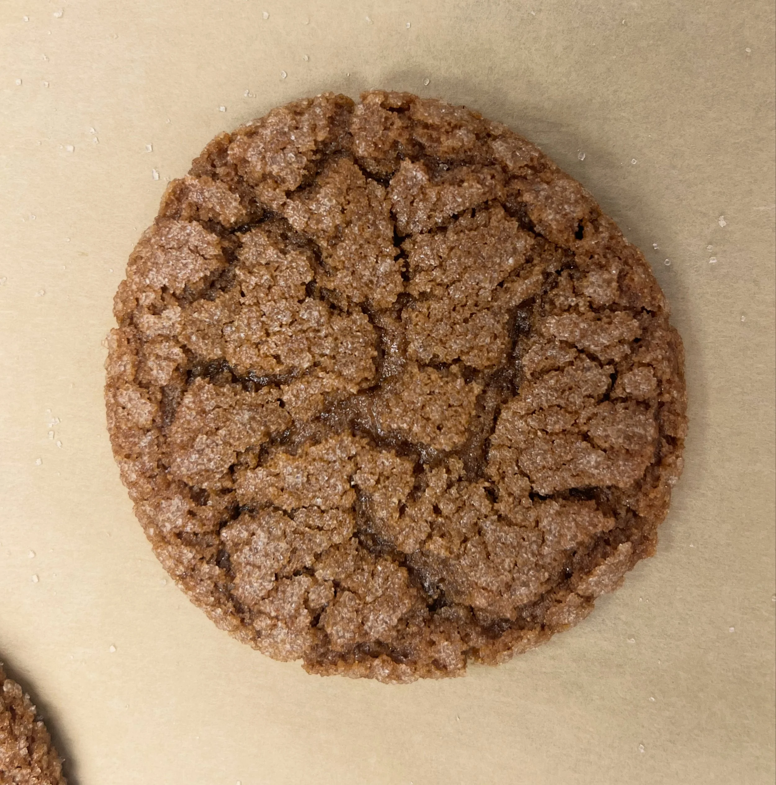 Close Up of a Gluten Free Ginger Molasses Cookie