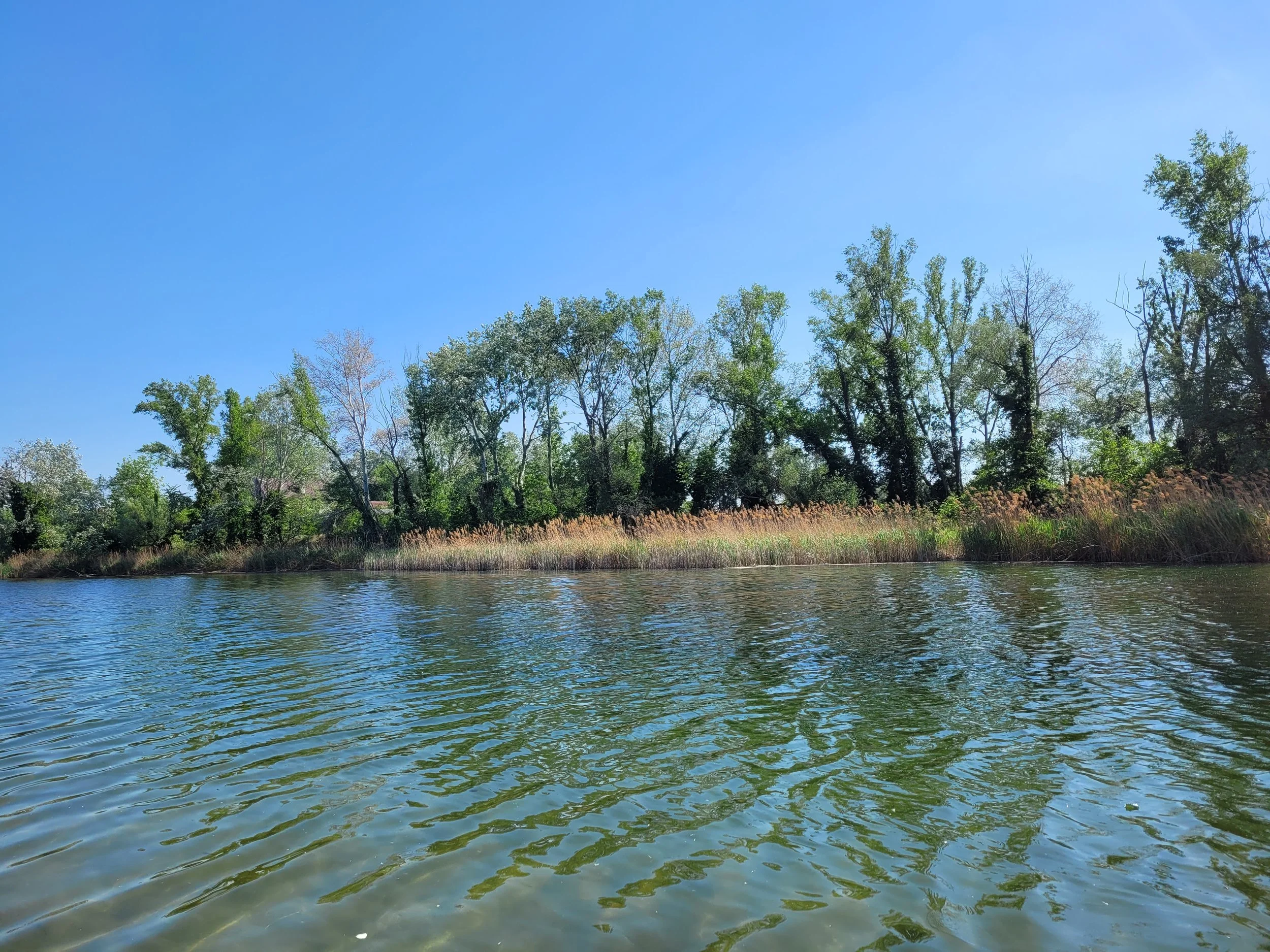 Naturbadeplätze in Wien