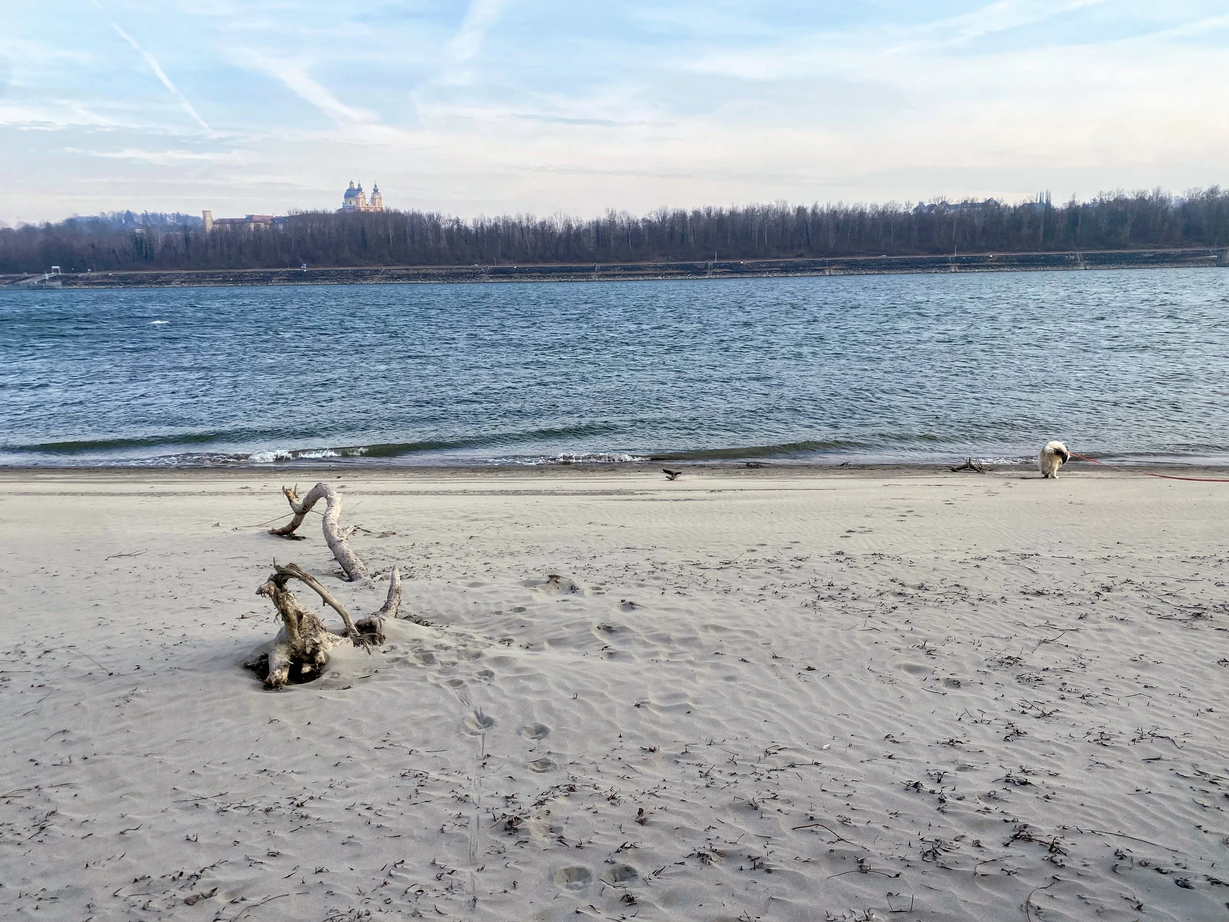 Psychotherapie für Frauen in Melk