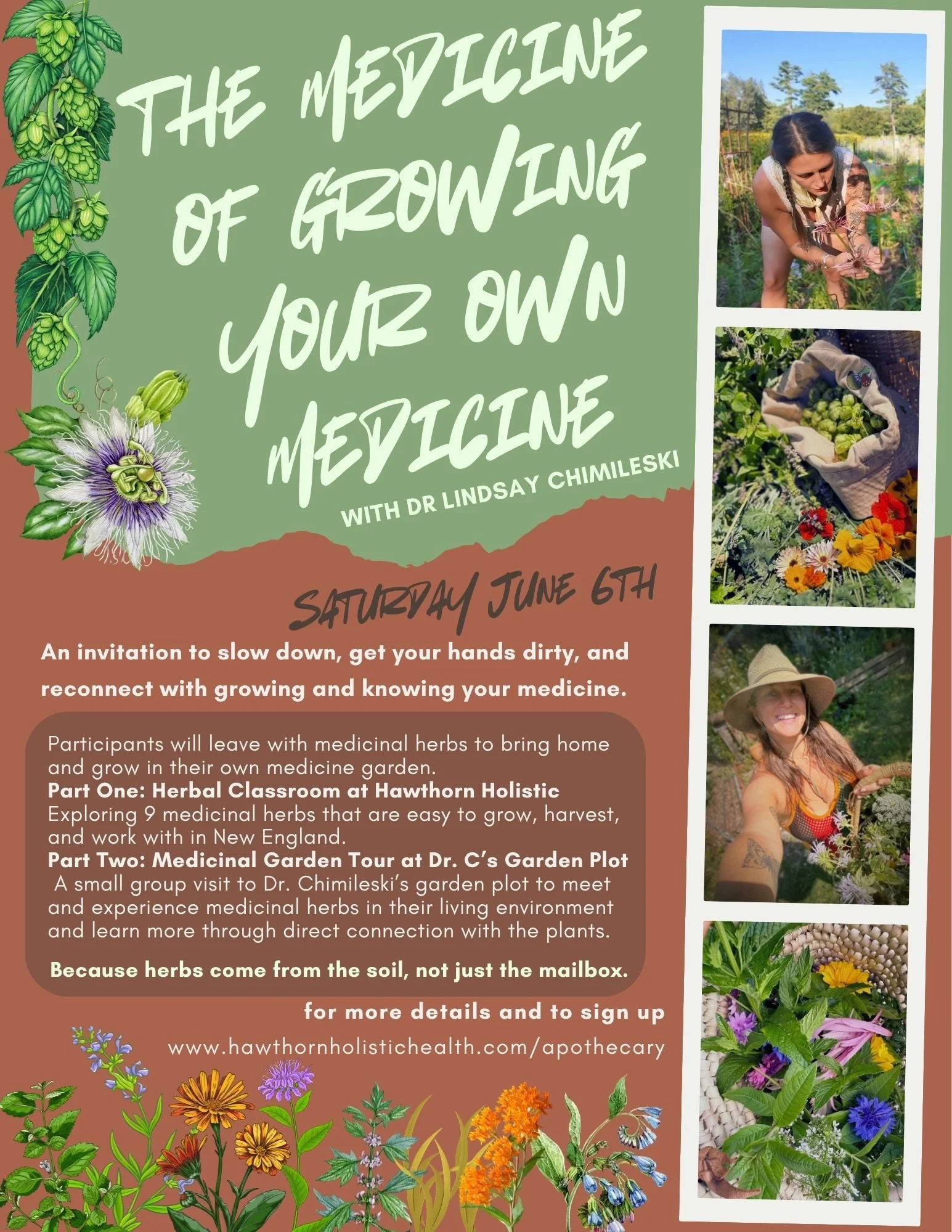 the medicine of growing your own medicine.jpg