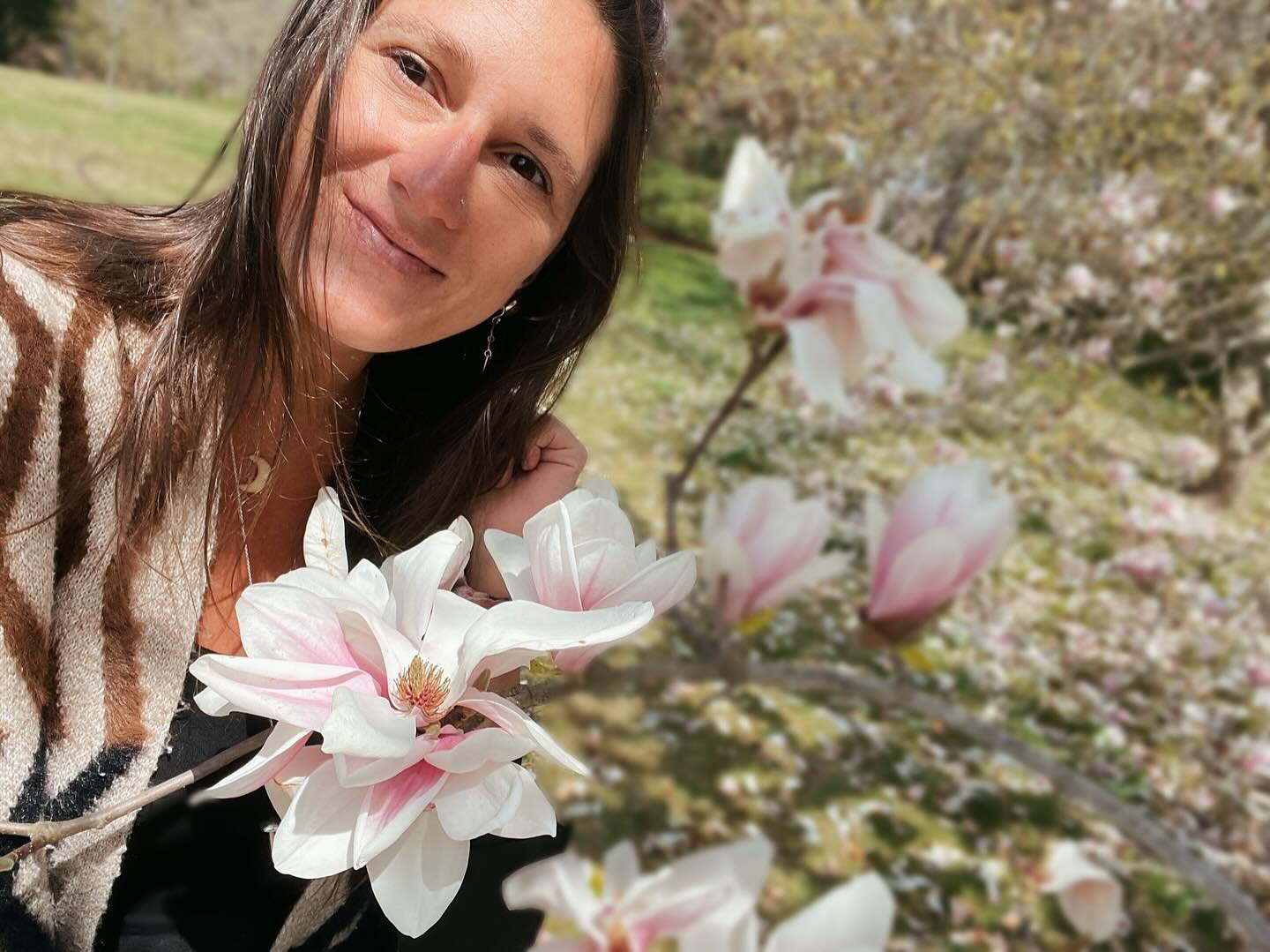 Hi Honokiol 👋💗 did you know magnolia is in many stress, sleep, adrenal and brain support formulas? We keep it in stock for our individualized tinctures always. It is also supplement options we use for adrenal support, especially in wired but tired 
