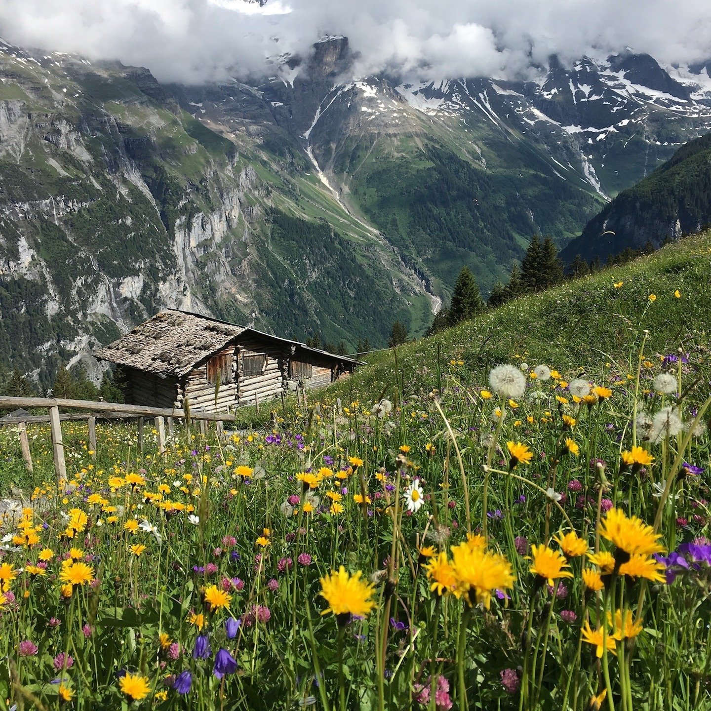 Lacing up your boots does more than take you to beautiful views&mdash;hiking boosts mood, lowers stress, strengthens your heart, and supports balance (literally and emotionally). 💚 Each step reconnects you to the rhythm of nature and the wisdom of y