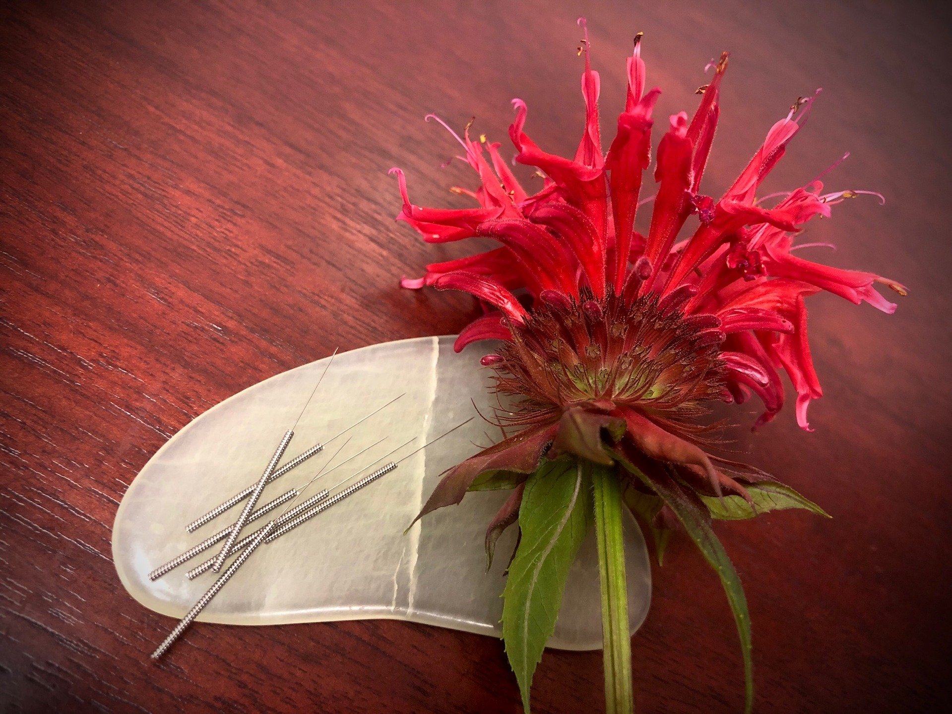 Struggling with bloating, reflux, or irregular digestion? Acupuncture can help calm the gut by regulating the nervous system, reducing inflammation, and supporting your body&rsquo;s natural rhythm. 🌀🌿 A grounded gut is a grounded you. #AcupunctureF