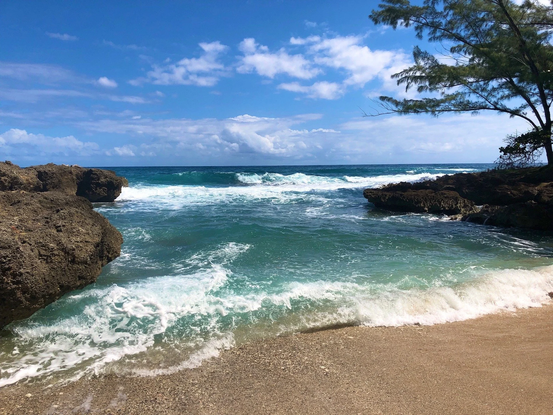 ☀️ Sun Care, Naturally:
Not all sunscreens are created equal. Many conventional formulas contain ingredients like oxybenzone, octinoxate, and synthetic fragrances that can disrupt hormones and harm coral reefs.

✨ Zinc oxide is a safer, mineral-based