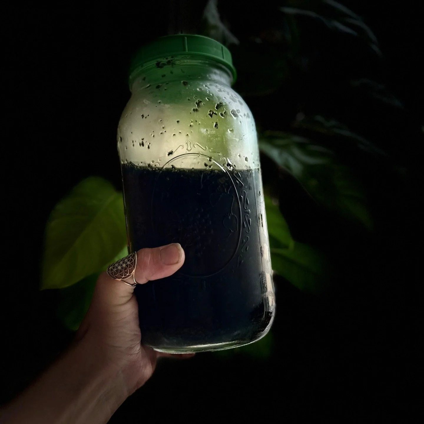 A good way to bring herbs into your daily rhythm is through cold infusions. Some plants release their magic best when steeped slow and cool
How to make one:
1️⃣ Add 1 tablespoon of loose leaf tea to a jar.
2️⃣ Fill with cool or room-temperature wate