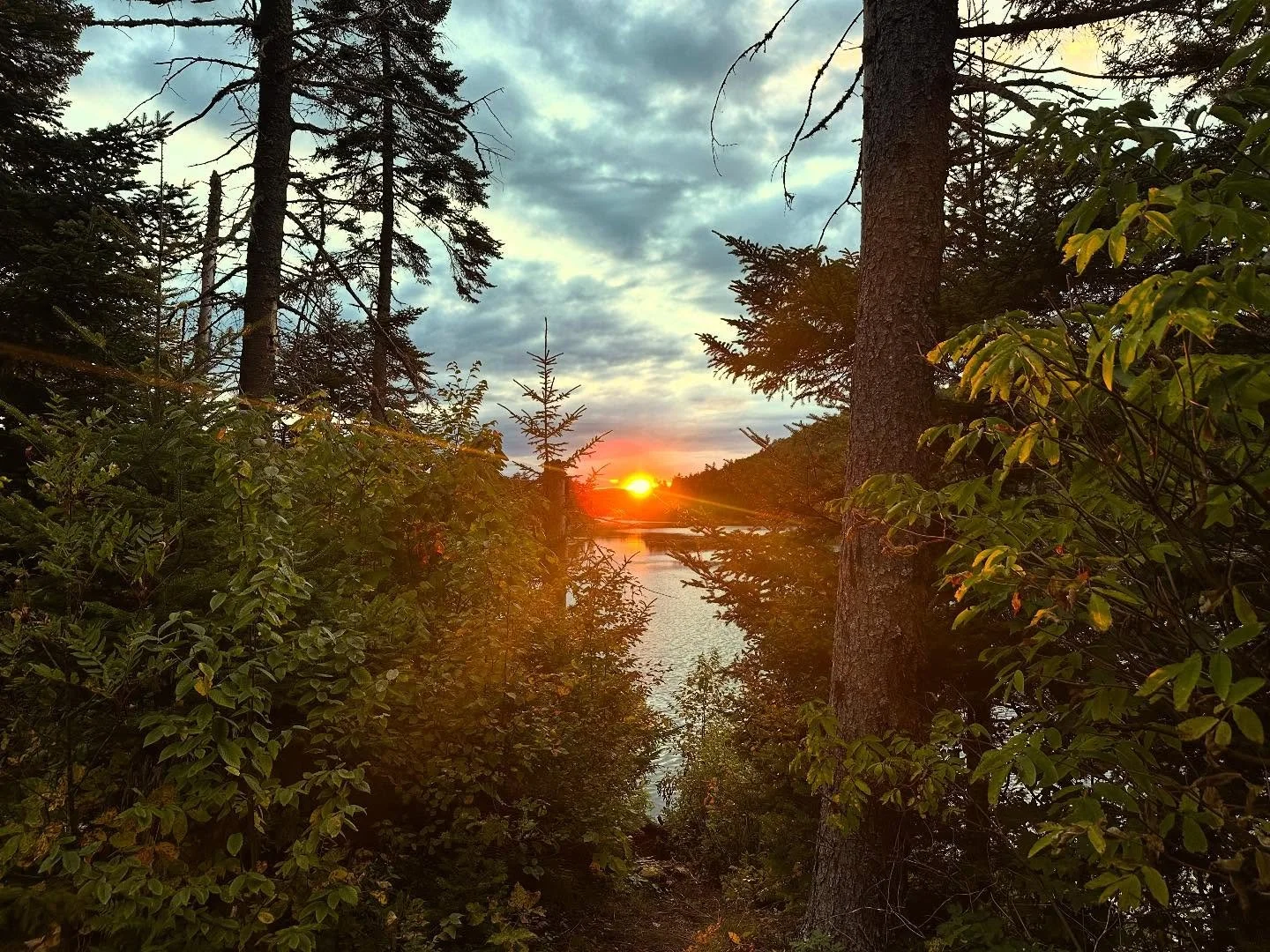 🍂☯️✨as the sun sets on summer, we reflect on the equinox. This is a moment of perfect balance between day and night. It is a seasonal reminder to pause and notice where balance (or imbalance) shows up in our own lives.
As the days grow shorter and