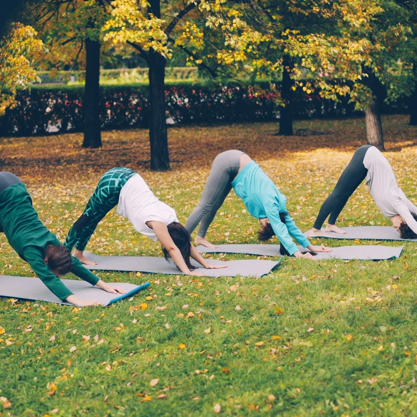 💪 The Power of Moving Together
The benefits of exercising in small groups allow for community, laughter, consistency, accountability, and support.

In a study on associations between exercising in a group and physical and cognitive functions, findin