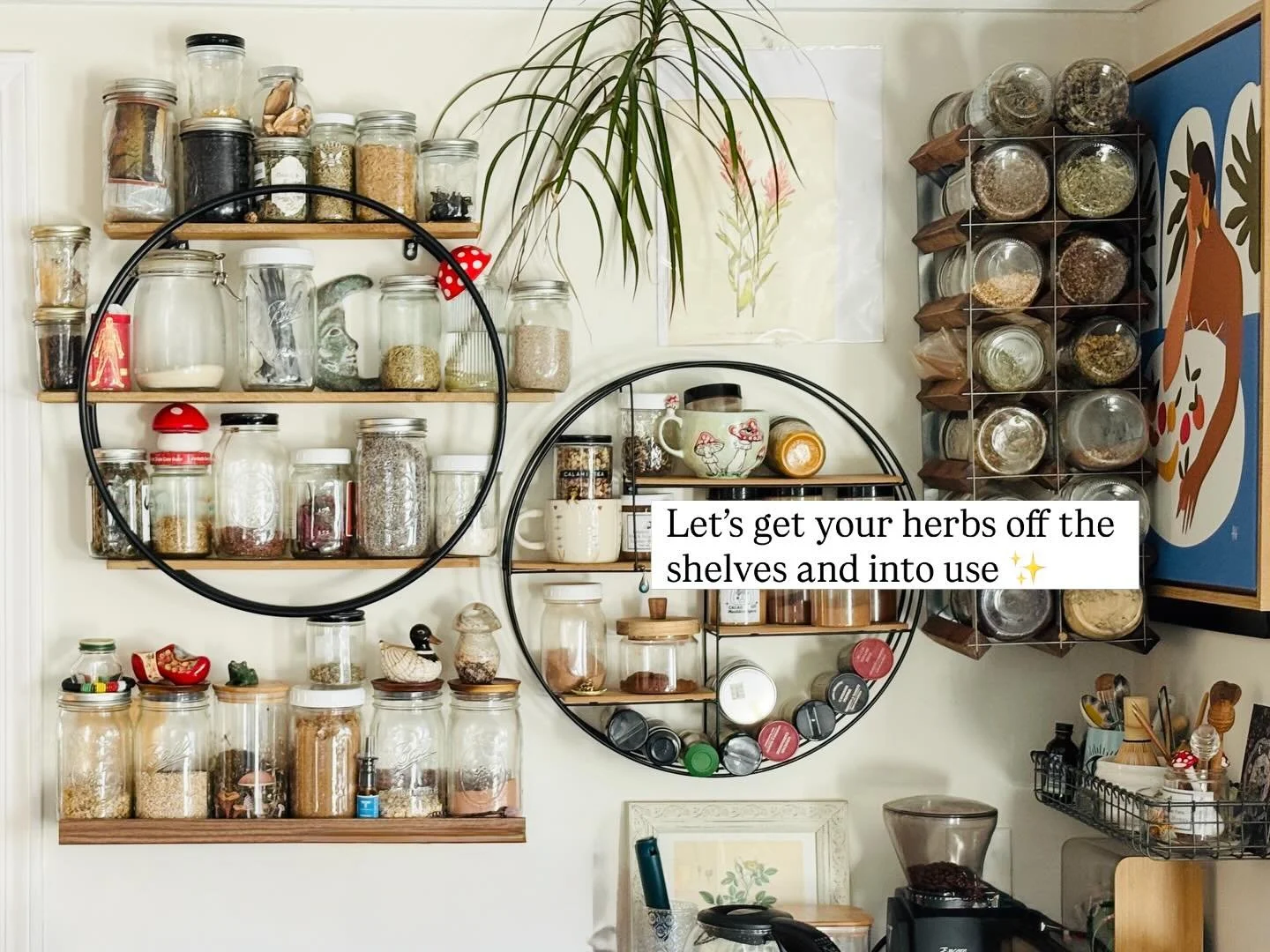 Your herbal apothecary is already full of magic. 🌿🫙✨
If you&rsquo;ve forgotten what half the jars are for, let&rsquo;s fix that.

Book a consult with @thebotanicaldocta and we&rsquo;ll go through your shelves together&mdash;bringing your herbs back
