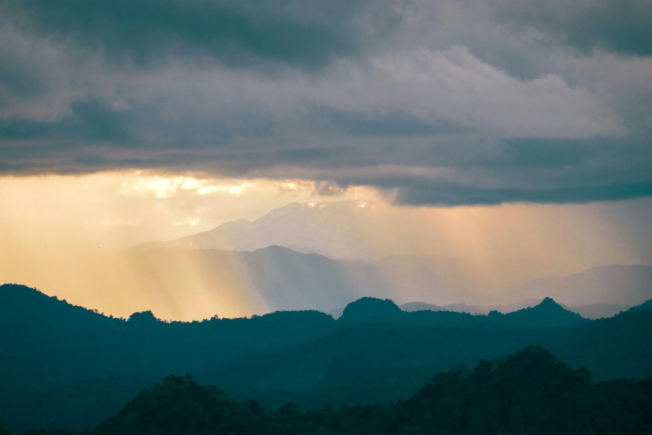 Low mood may reflect depletion, constraint, or both.
Treatment focuses on nourishment and gentle movement, supporting lightness to return in its own time. We&rsquo;re here to support you. ❤️