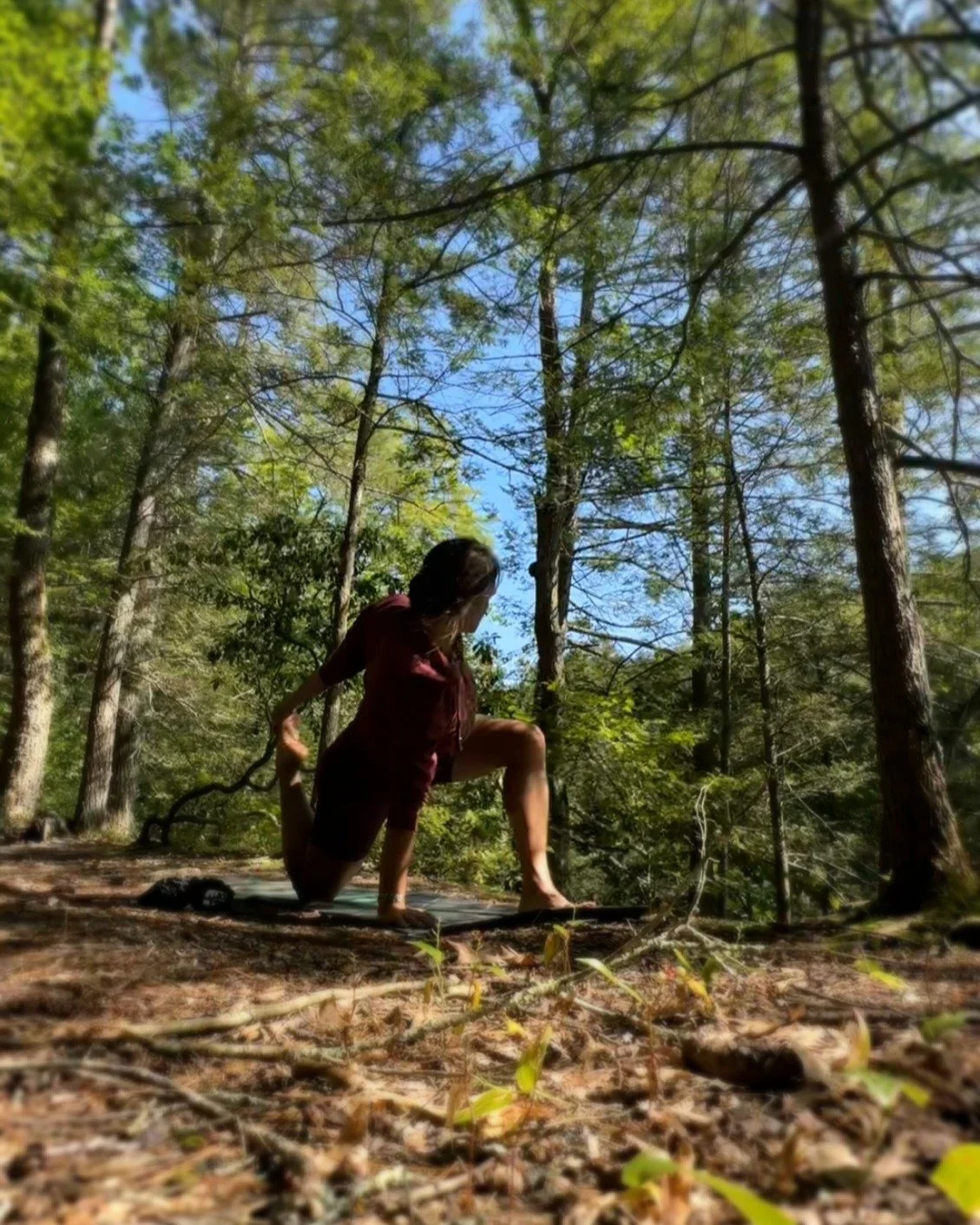 Medicine, as I Practice It --
Medicine is both precise and relational.
Lab data matters but so does how you sleep, breathe, and move through your days.