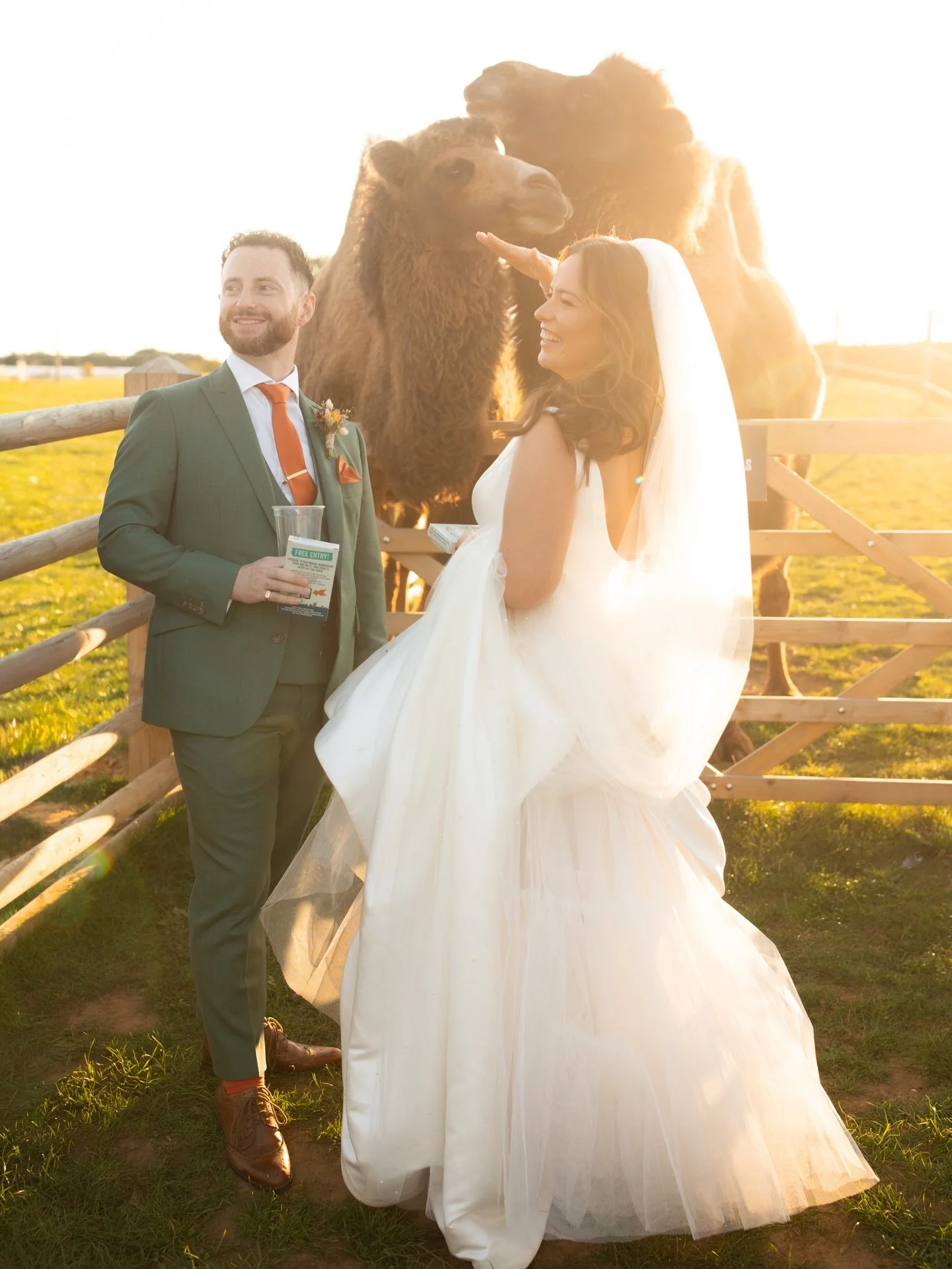 Feeding the bactrian camels on your wedding day 🐫

Only at @jimmys_farm_weddings 😂

Abi &amp; Matt 🔥

//

@abiodell1993 
@mattd321 
@jimmys_farm_weddings 
@creativecanopyco 
@facenglitz 
@foxlandbanduk 
@entertainmentnationuk 
@thepetalgirl 
@litt