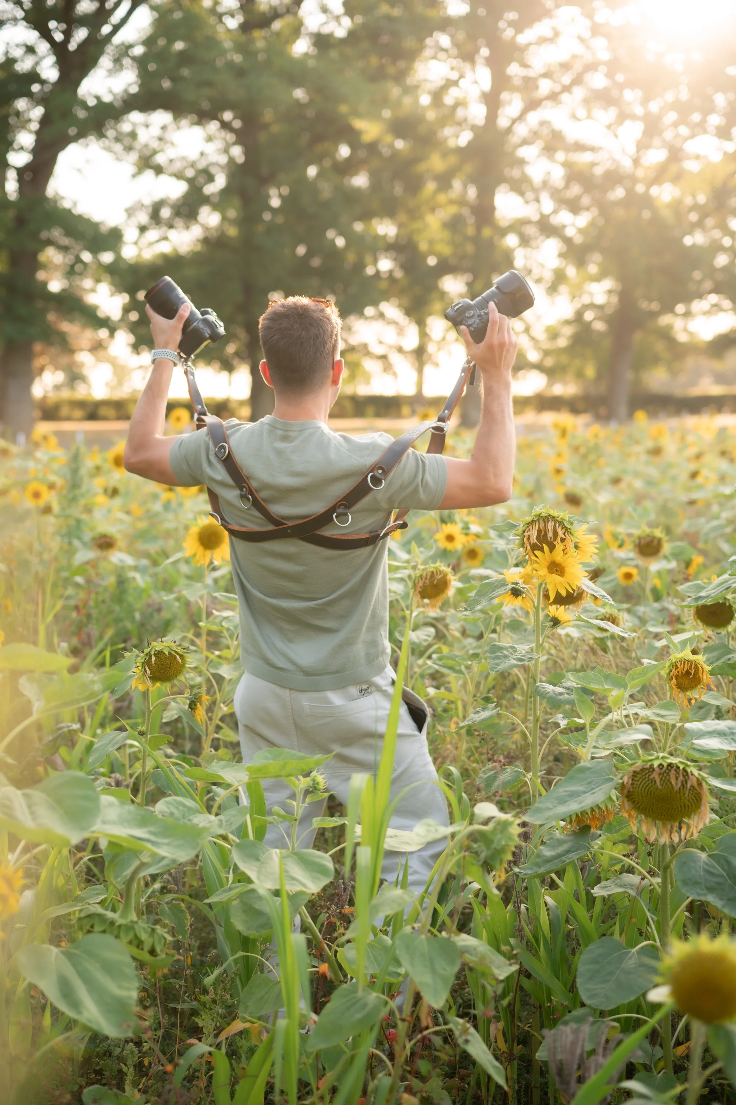 A man in a green shirt and light-colored shorts standing in a sunflower field during sunset, holding a camera in each hand with straps over his shoulders, capturing the scenery.