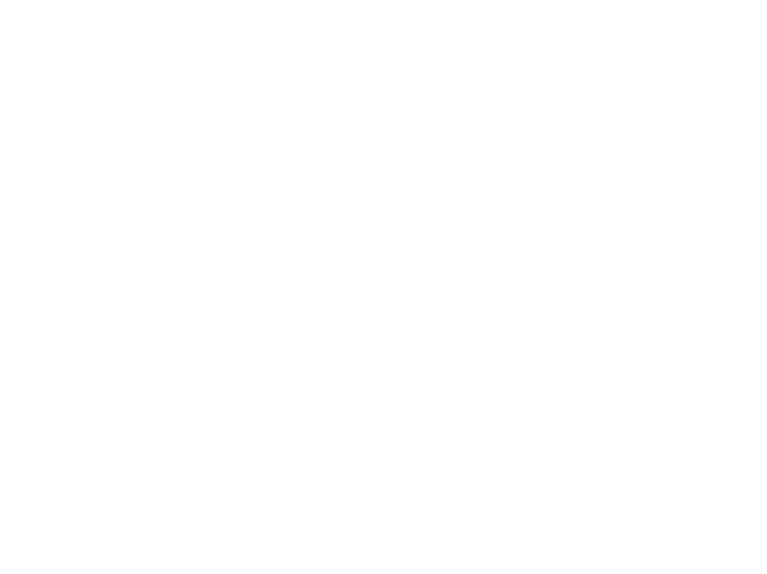 The access foundation logo