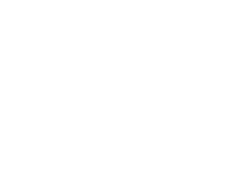 Wise logo