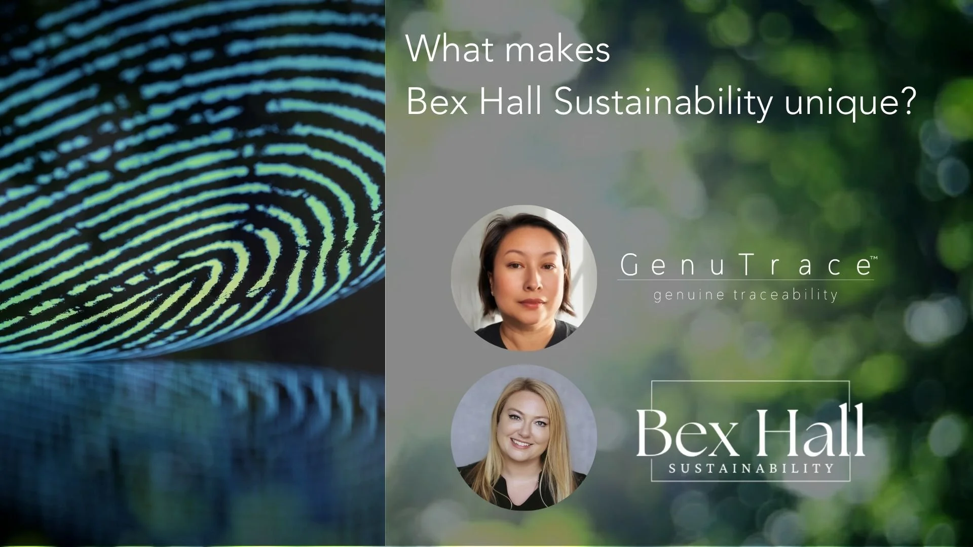 What Makes Bex Hall Sustainability Unique?