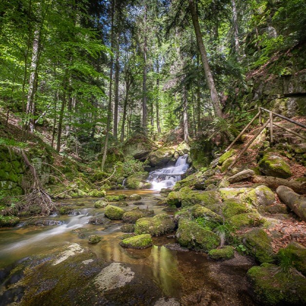 Nach ziemlich genau einem Jahr bin ich morgen wieder in der wundersch&ouml;nen Ysperklamm unterwegs. Ist immer wieder ein lohnender Fotospot. 

Diesmal kommt die FUJIFILM GFX50S Mittelformatkamera zum Einsatz. Bin schon riesig gespannt auf den Qualit