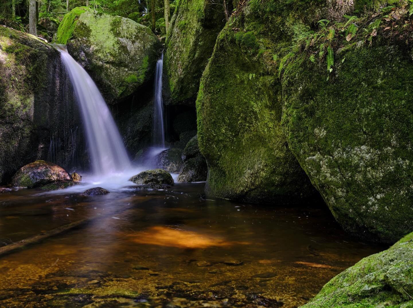 Die Ysperklamm mit Kamera und Stativ durchwandern ist immer beeindruckend. Unz&auml;hlige, bezaubernde Motive direkt am Wegesrand. Das tosende Wasser und die grandiosen Farben!

2026 zeige ich dir bei meinem Fotoworkshop die besten Spots und wie du d