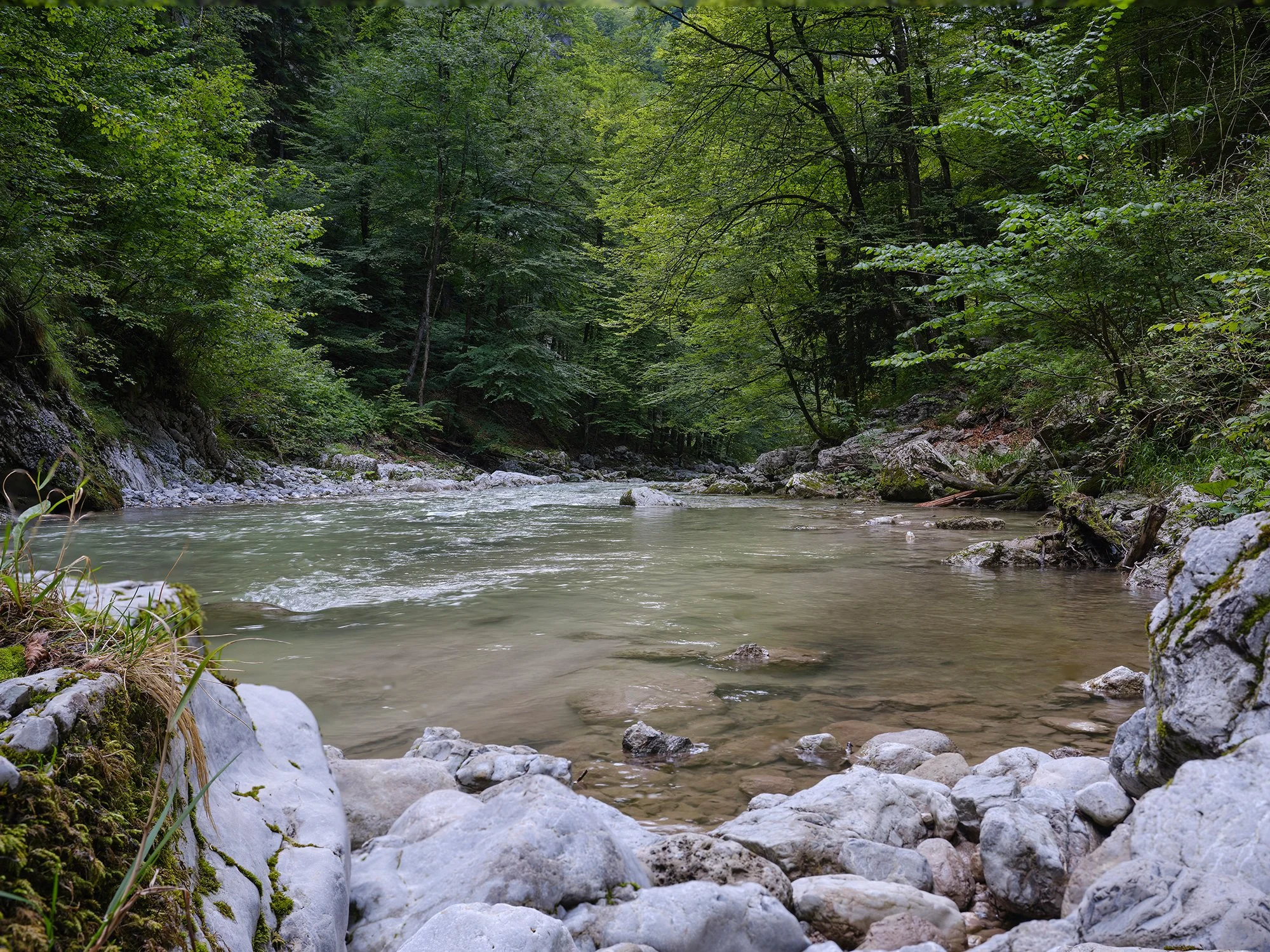 Ohne True Color CPL Filter