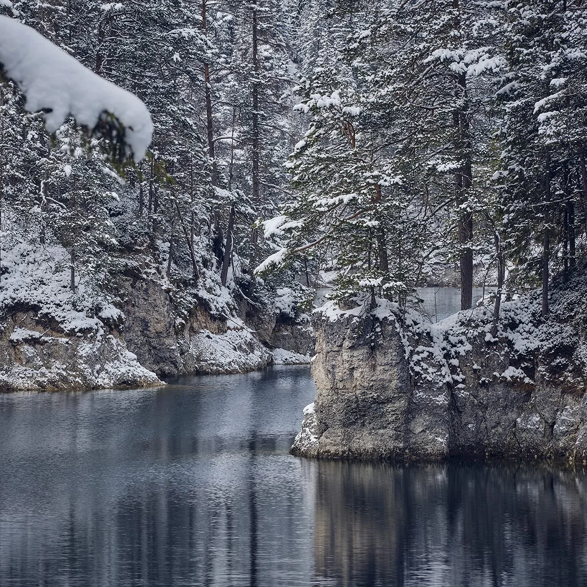 Winter? Hallo? Wo hast du dich versteckt? Ich w&auml;re eigentlich schon bereit f&uuml;r ausgedehnte Schneeschuh Wanderungen in der tief verschneiten Landschaft. Vielleicht probier ich diesen Winter sogar mal eisbaden.

Also hop, hop! Lass dich endli