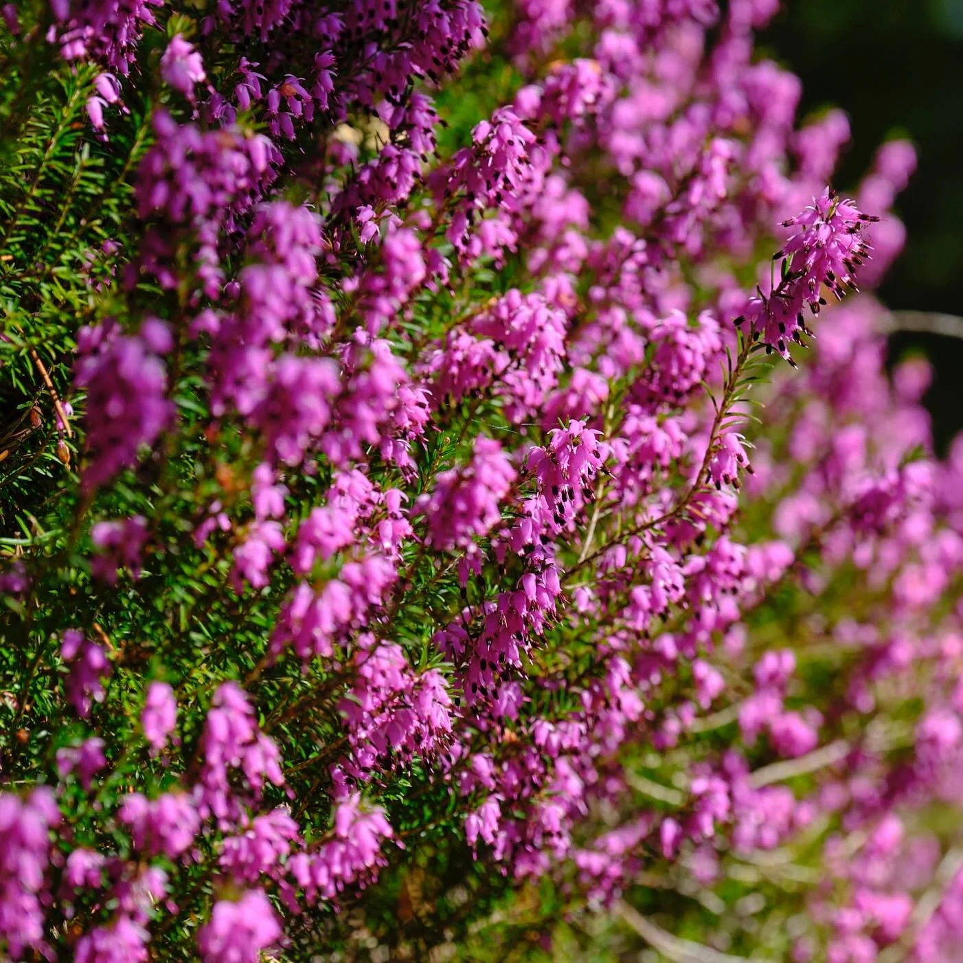 Ok! Wer freut sich schon auf den Fr&uuml;hling?! 🖐️🖐️🖐️