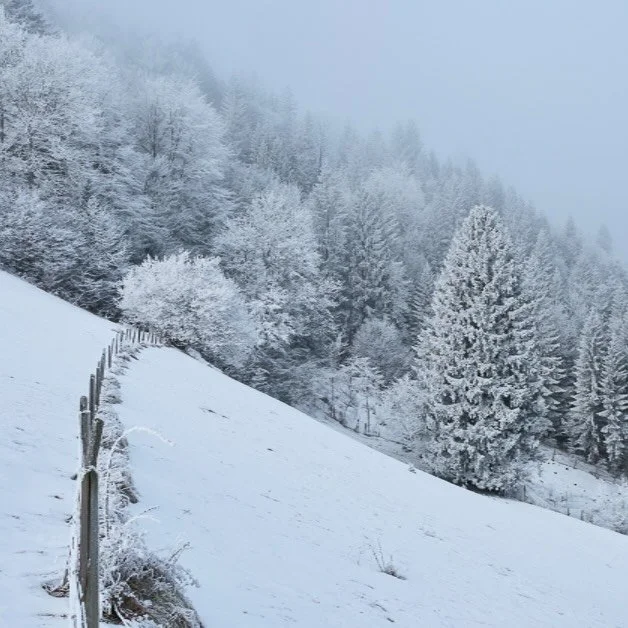 Diese Wochenende startet der Winter ein Comeback. I&lsquo;m not amused. Andererseits, wer wei&szlig;&hellip;

Gerade in der &Uuml;bergangszeit der Jahreszeiten lassen sich oft au&szlig;ergew&ouml;hnliche Motive finden. Also warm anziehen und raus mit