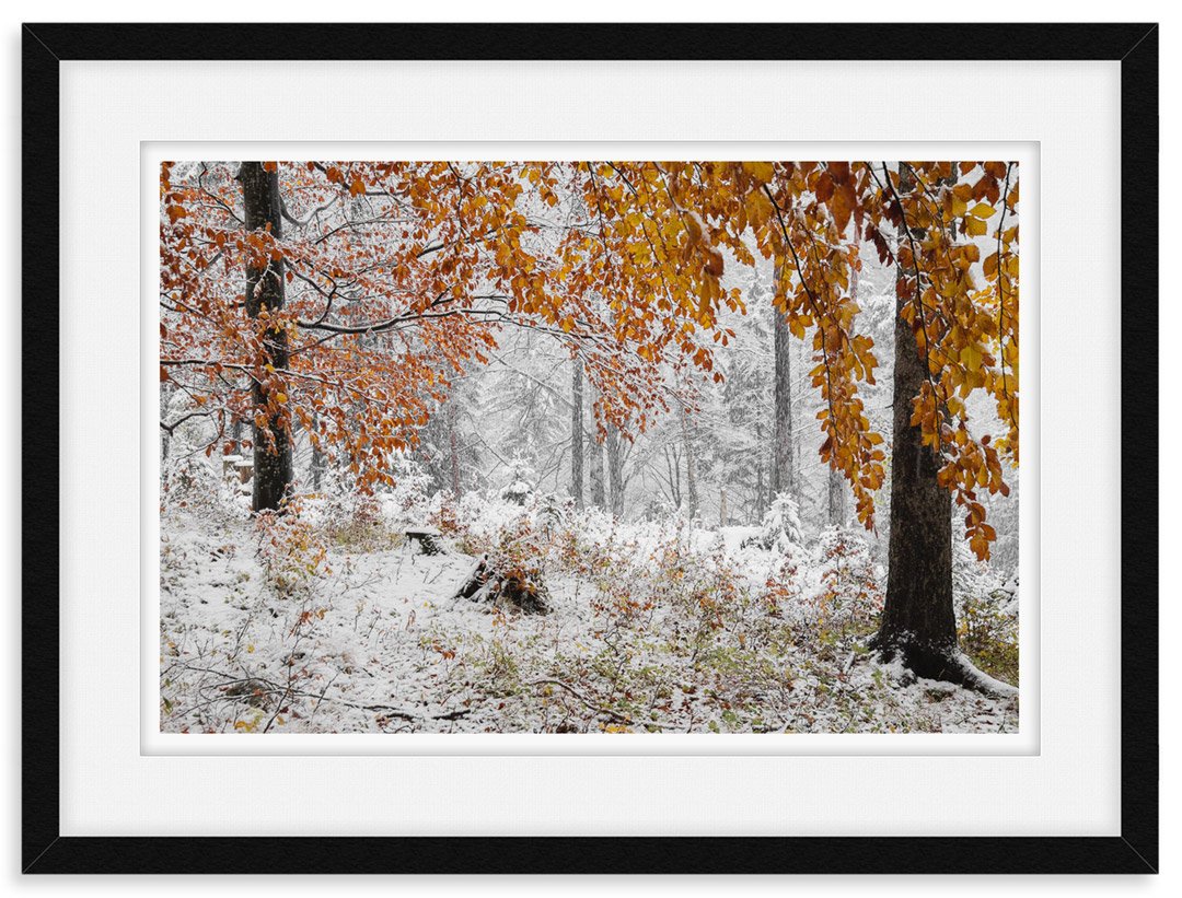 juergen_thoma_fineart01_rahmen.jpg