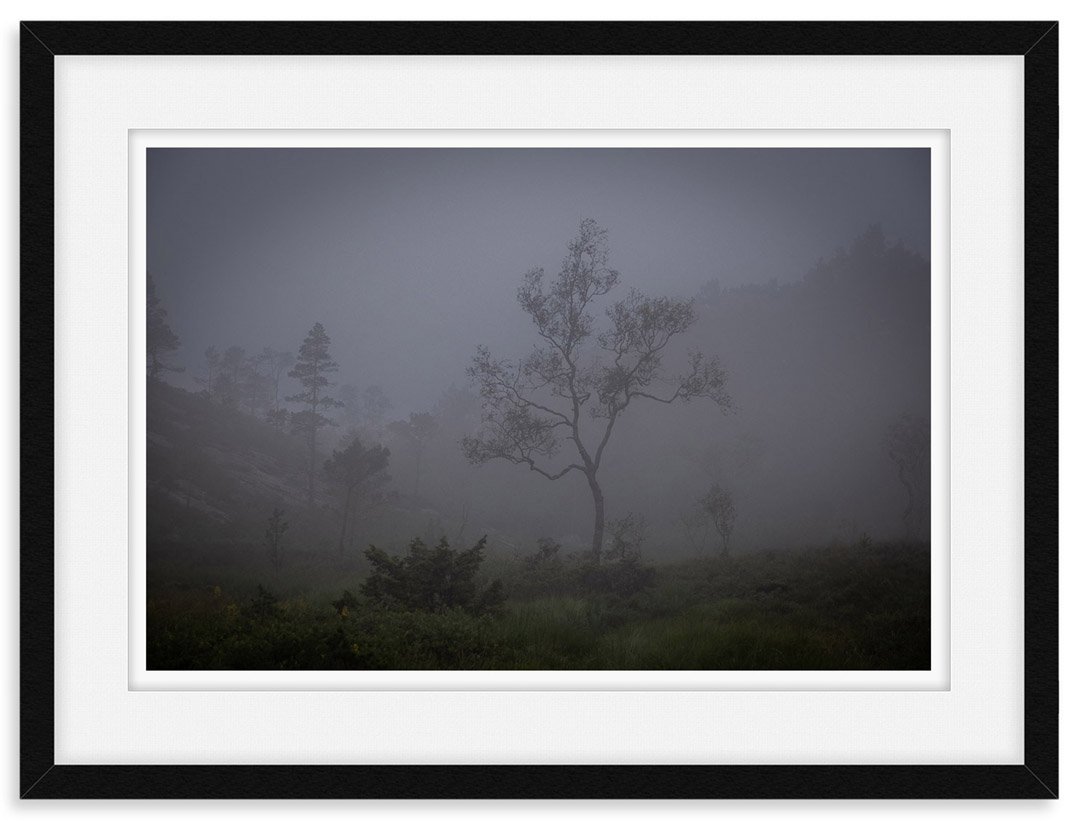 juergen_thoma_fineart02_rahmen.jpg