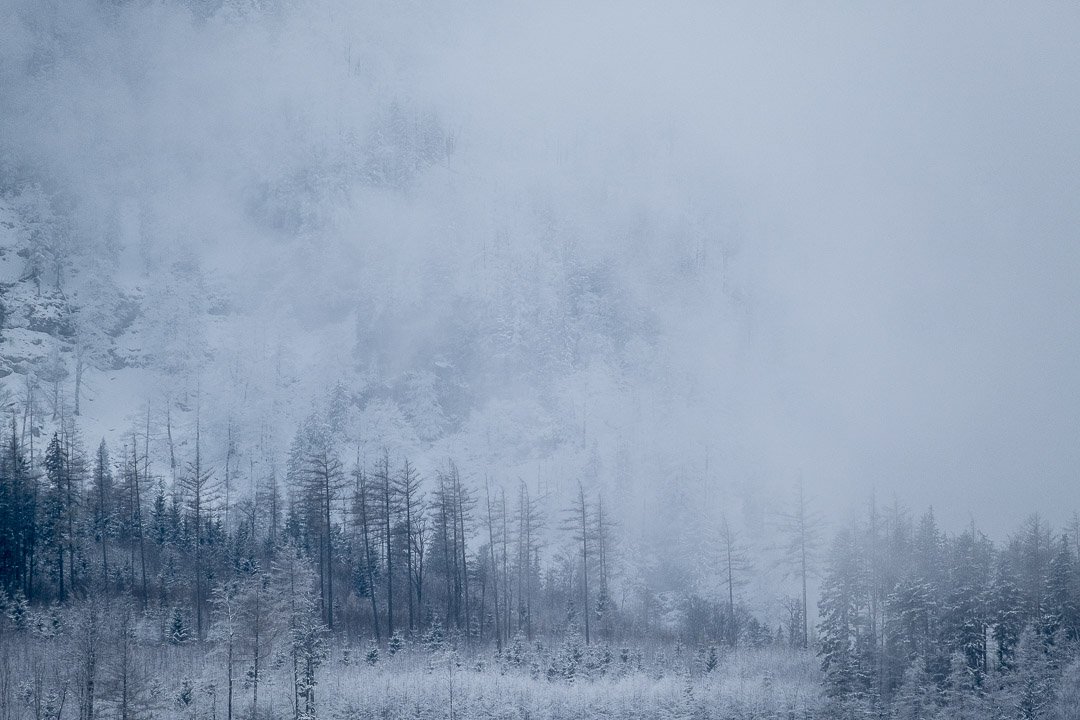 Frozen World
