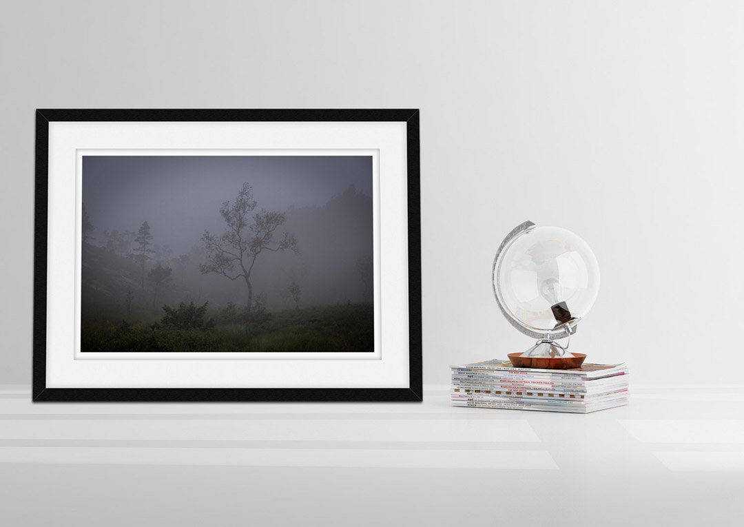 juergen_thoma_fineart02_mockup.jpg